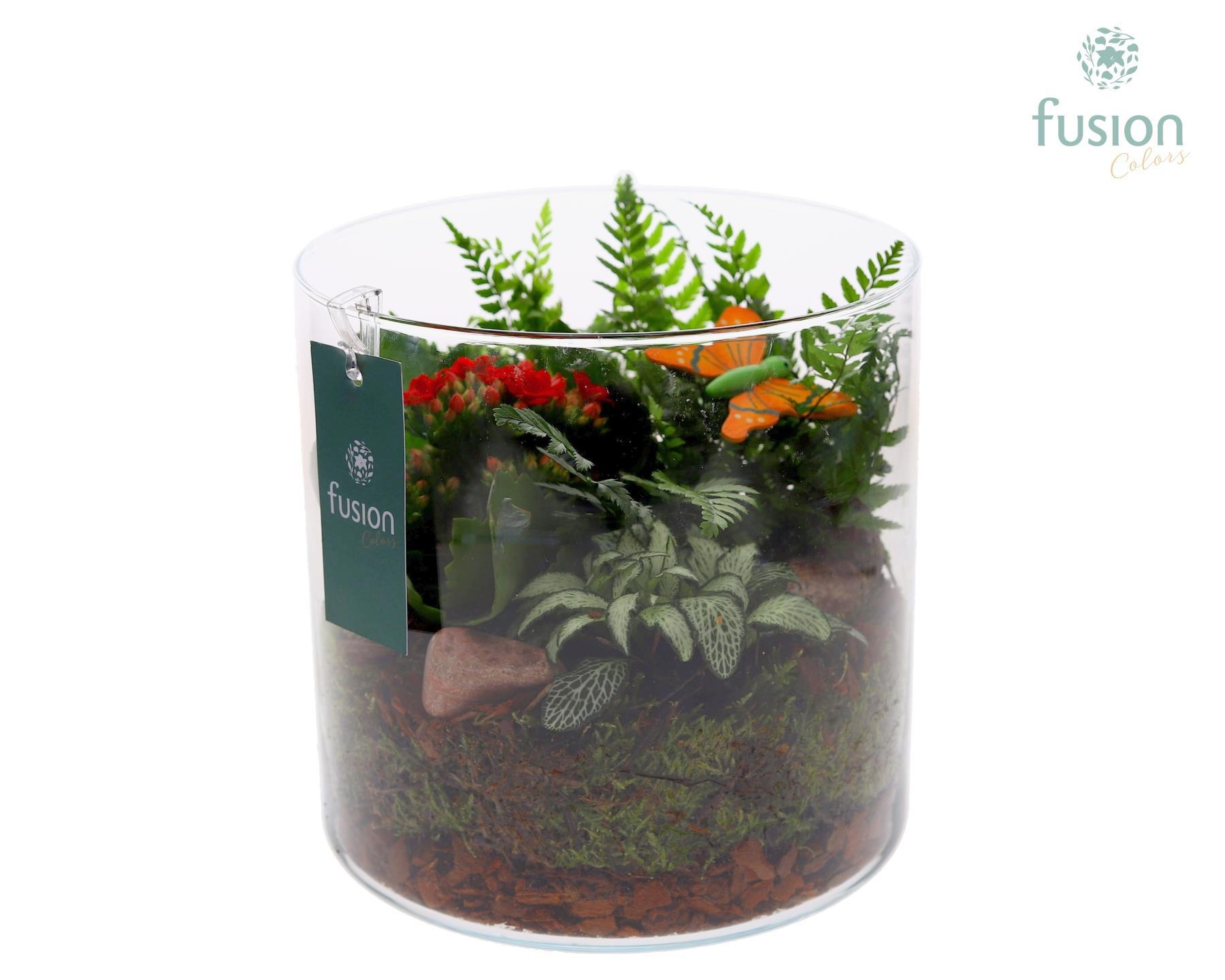 Glas Cilinder met Arrangement, D 19