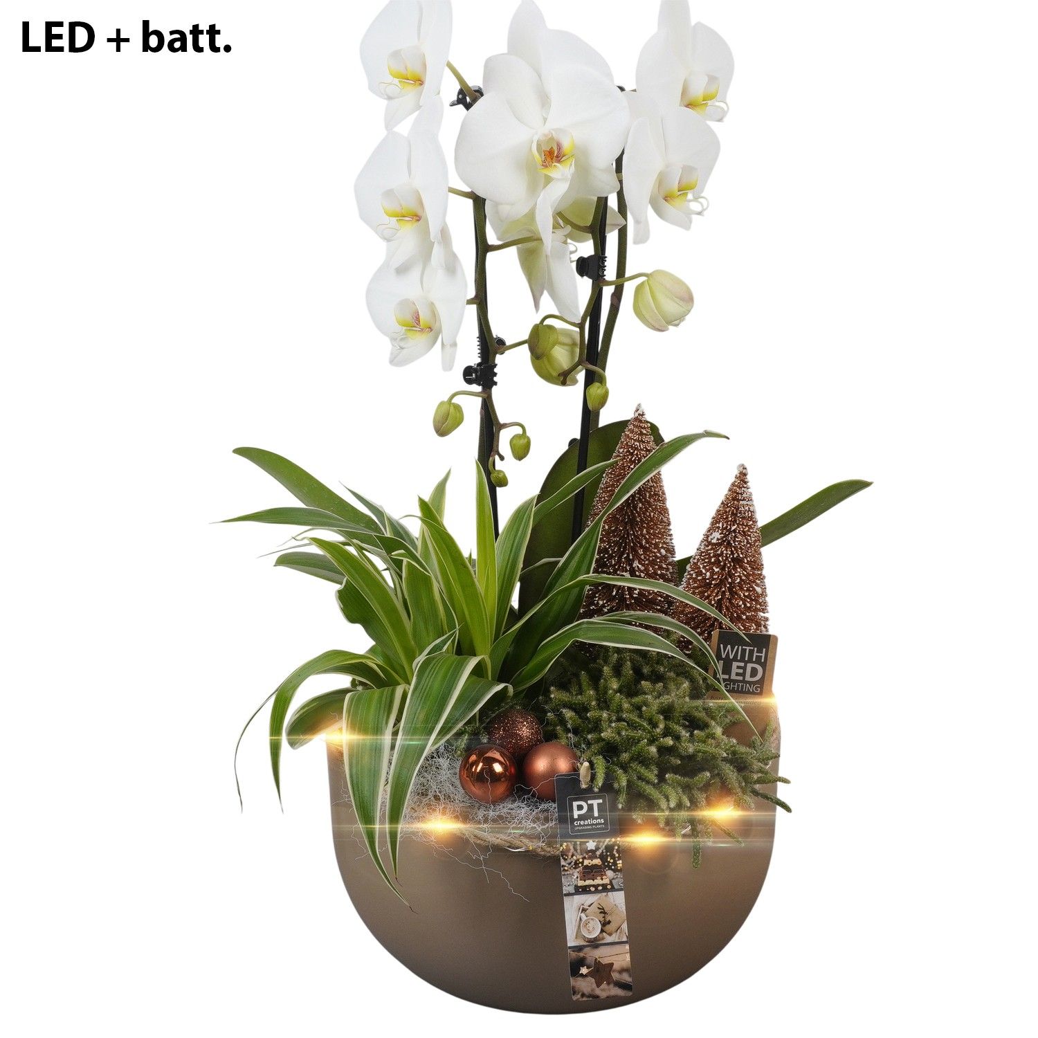 PTCHB9742 Arrangement Christmas Bronze in keramiek schaal, D 26 cm