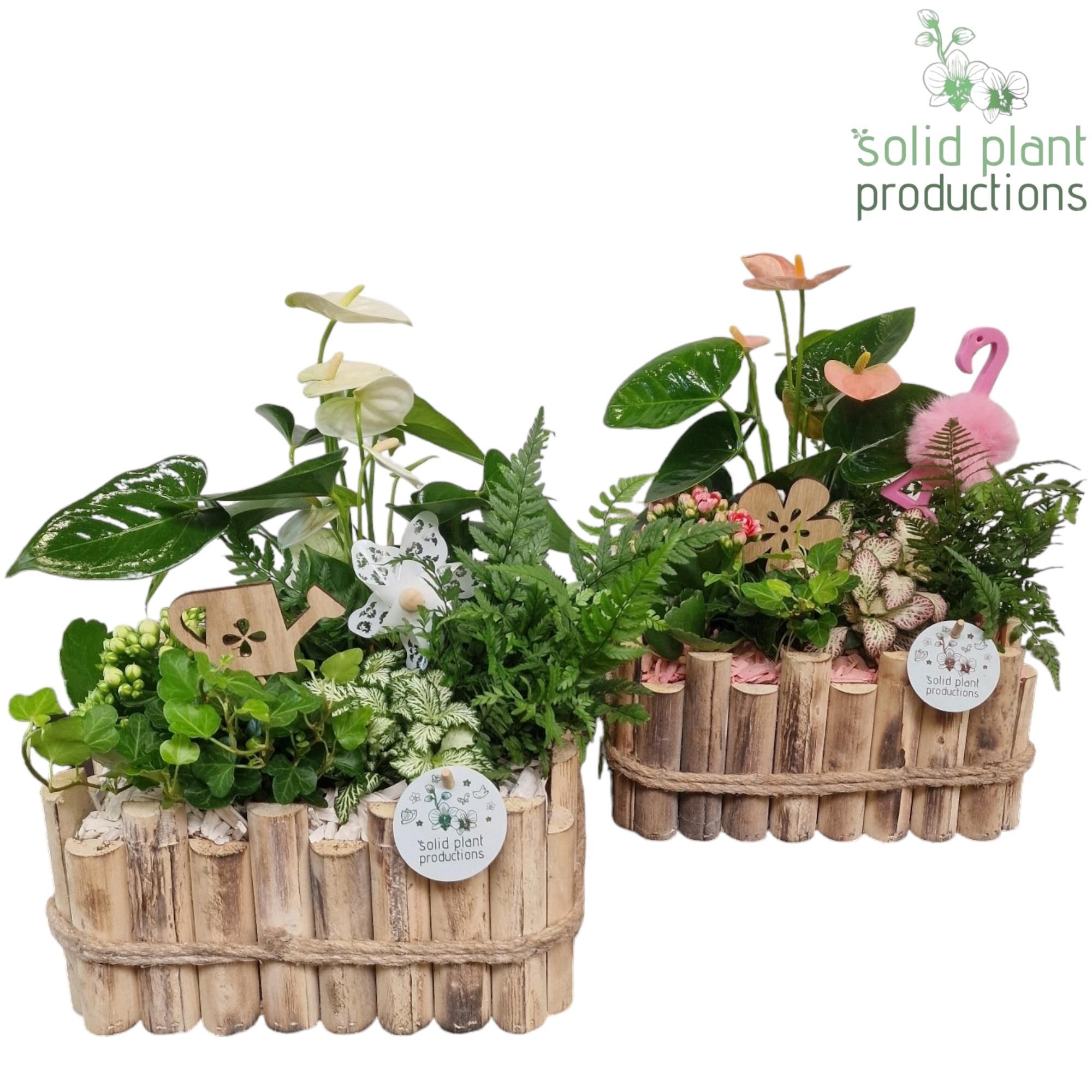 HAT008 Verona Large White Pink Mix, D 30