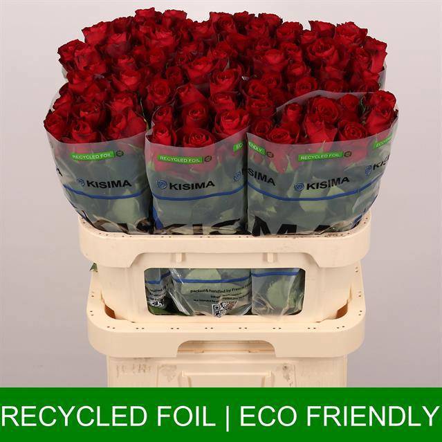 Роза од. Мадам Рэд 80, шт.