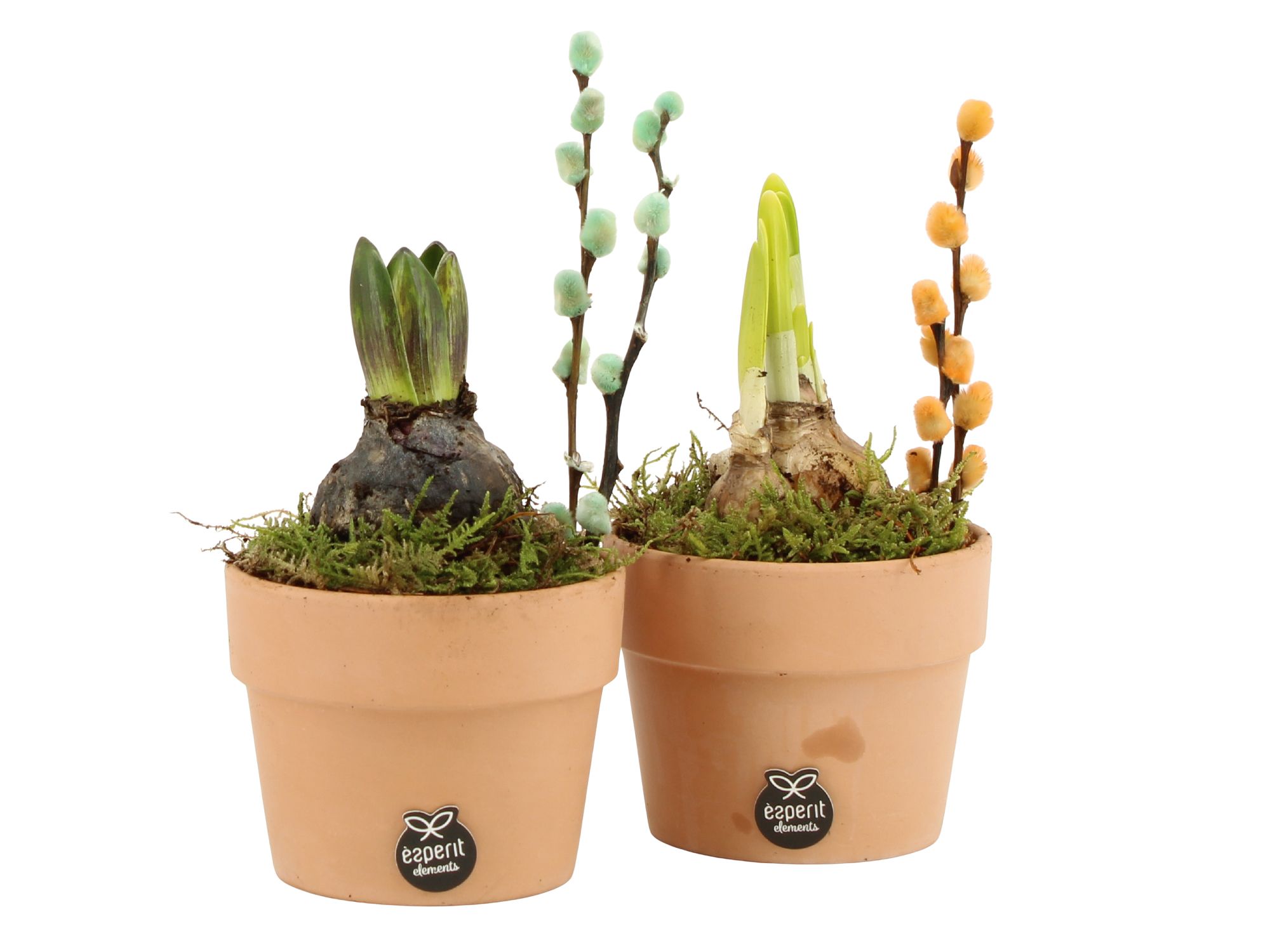 11667: Outdoor spring arrangement, D 10