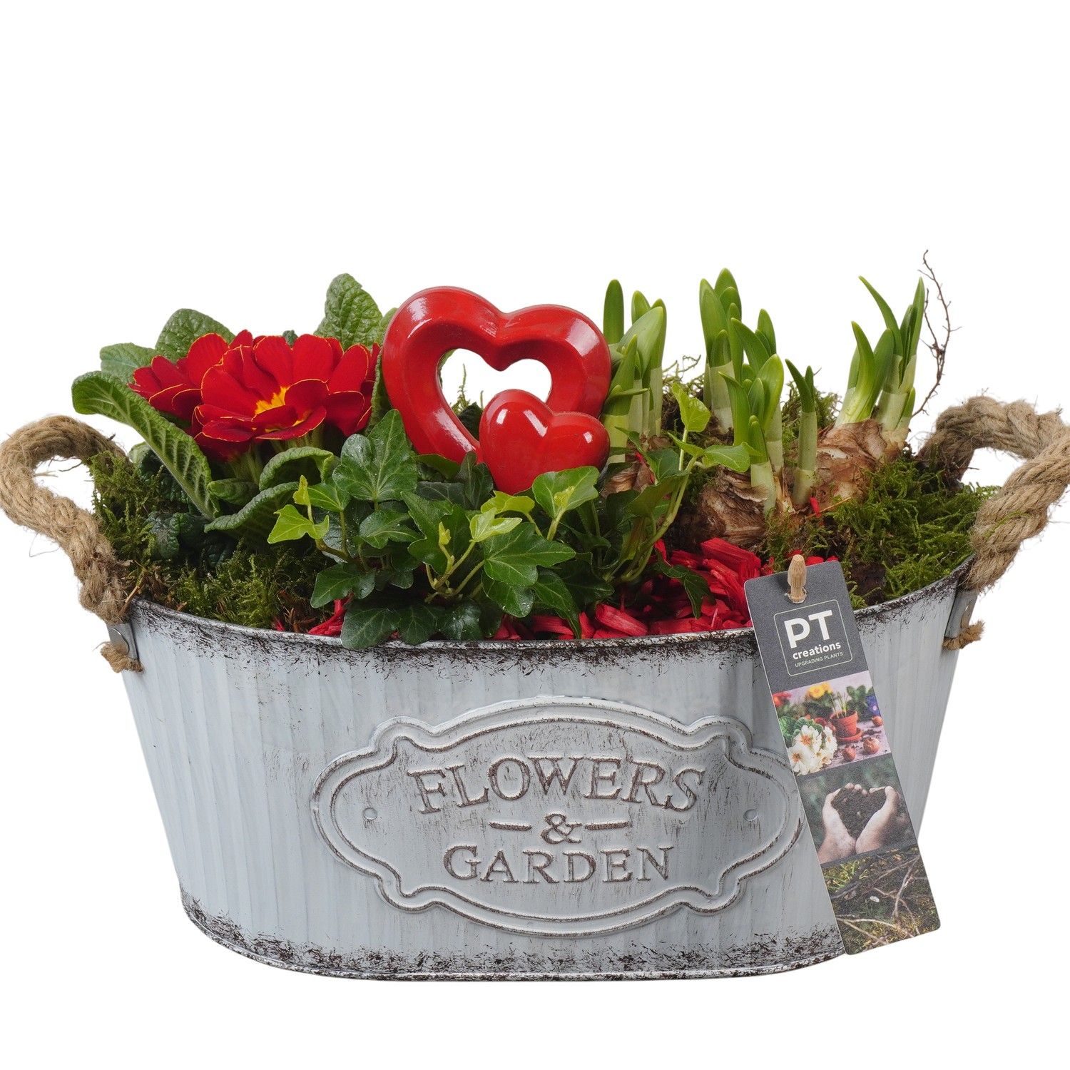PTVO3606 Arrangement Valentine Outdoor in metalen schaal, D 28