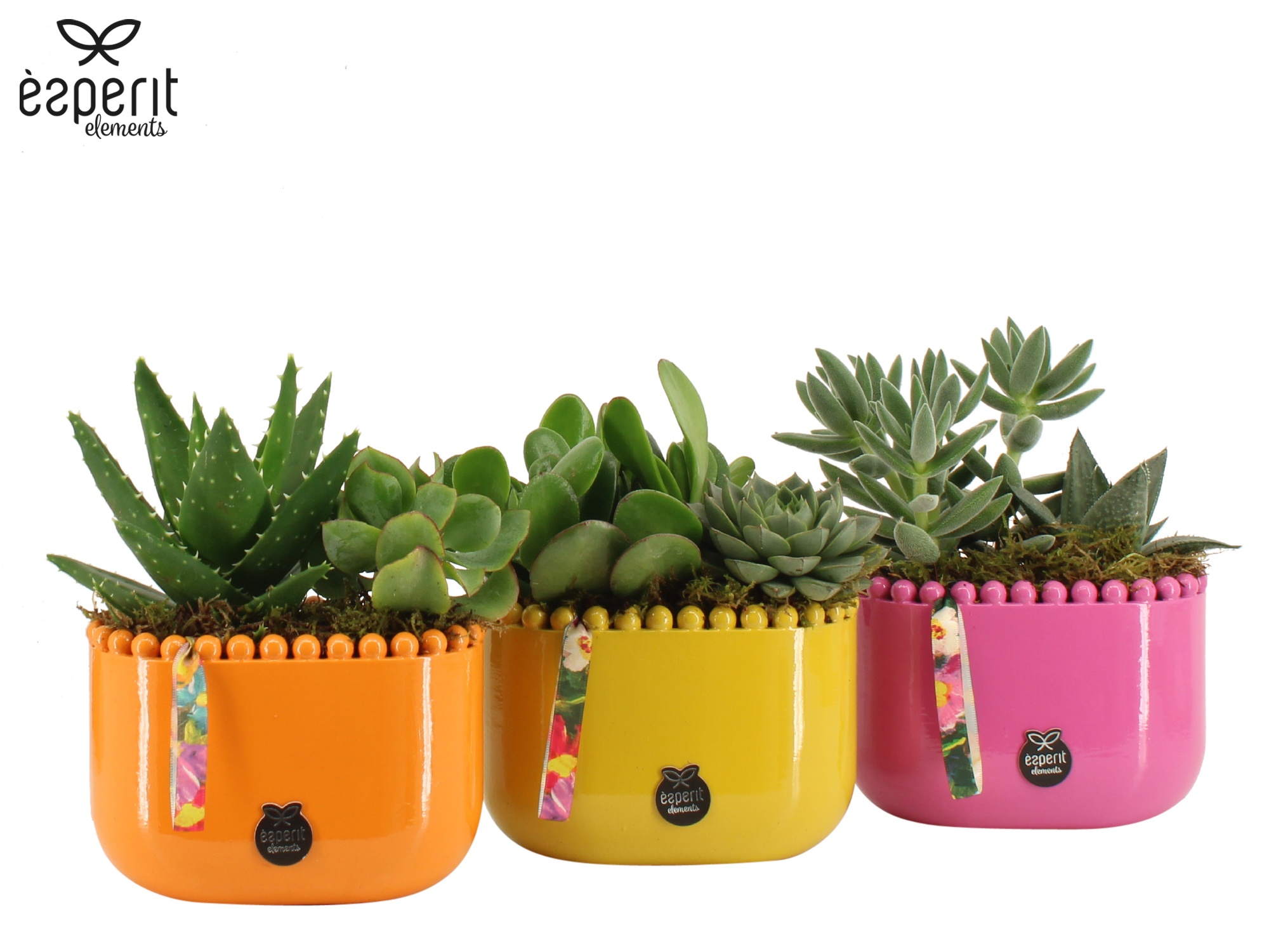 31786: Reinvention arrangement, D 14