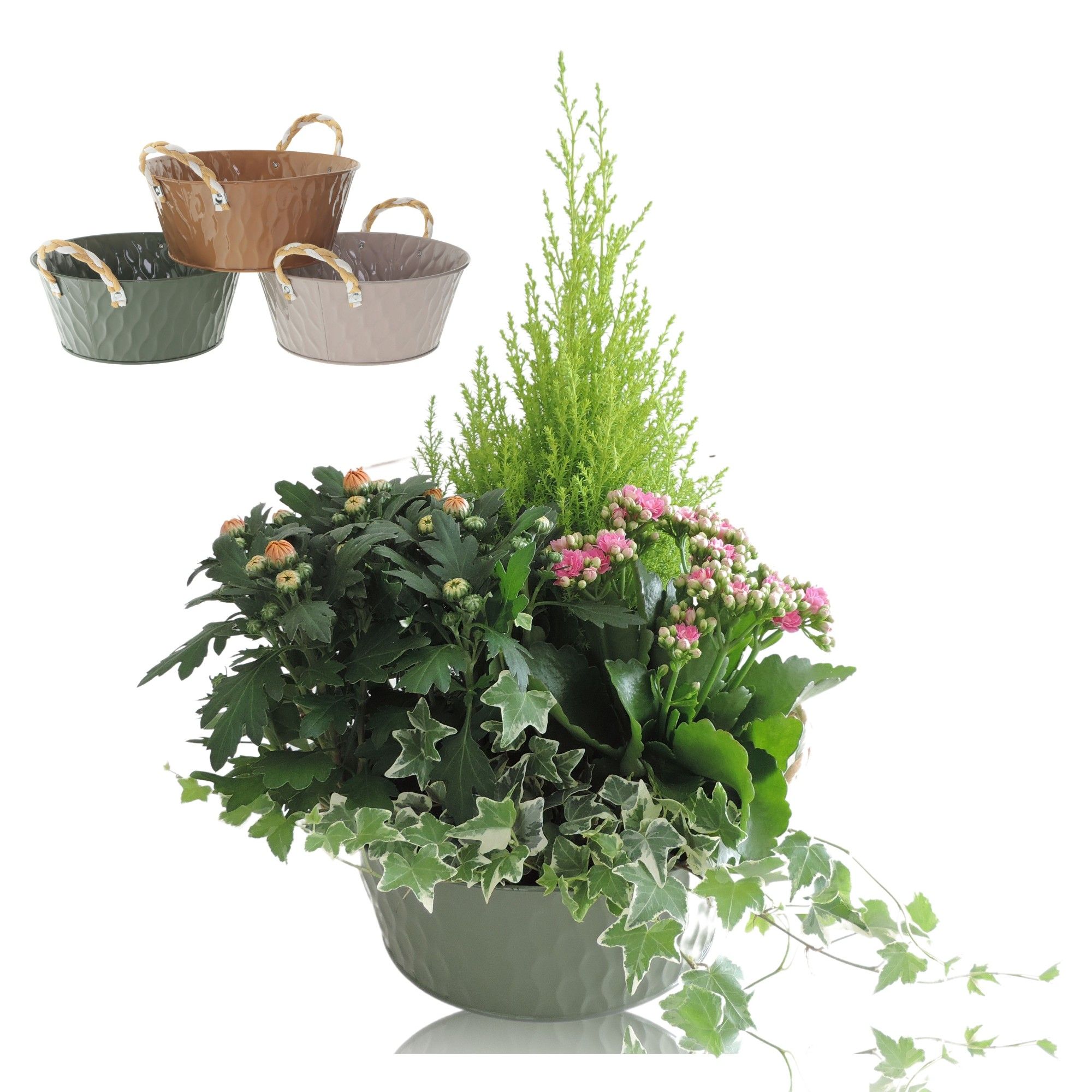Collectie Amun Arrangement in Schaal 25 cm, D 25
