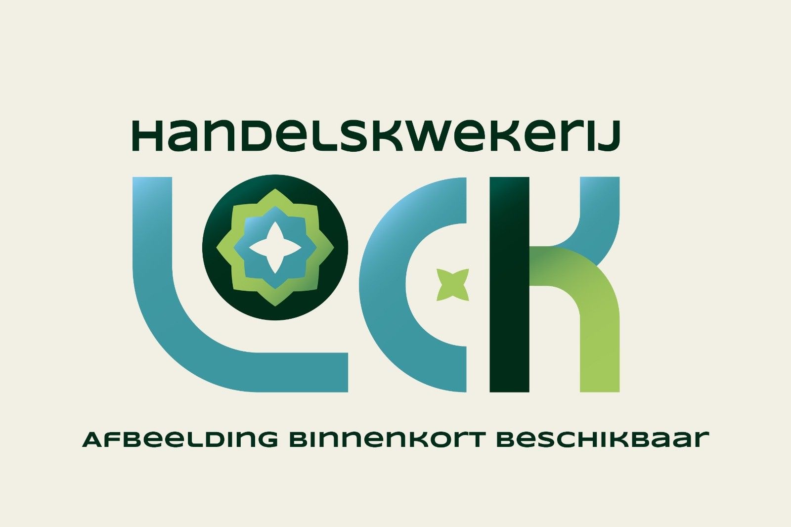 Haworthia Cymbiformis, D 10,5 cm