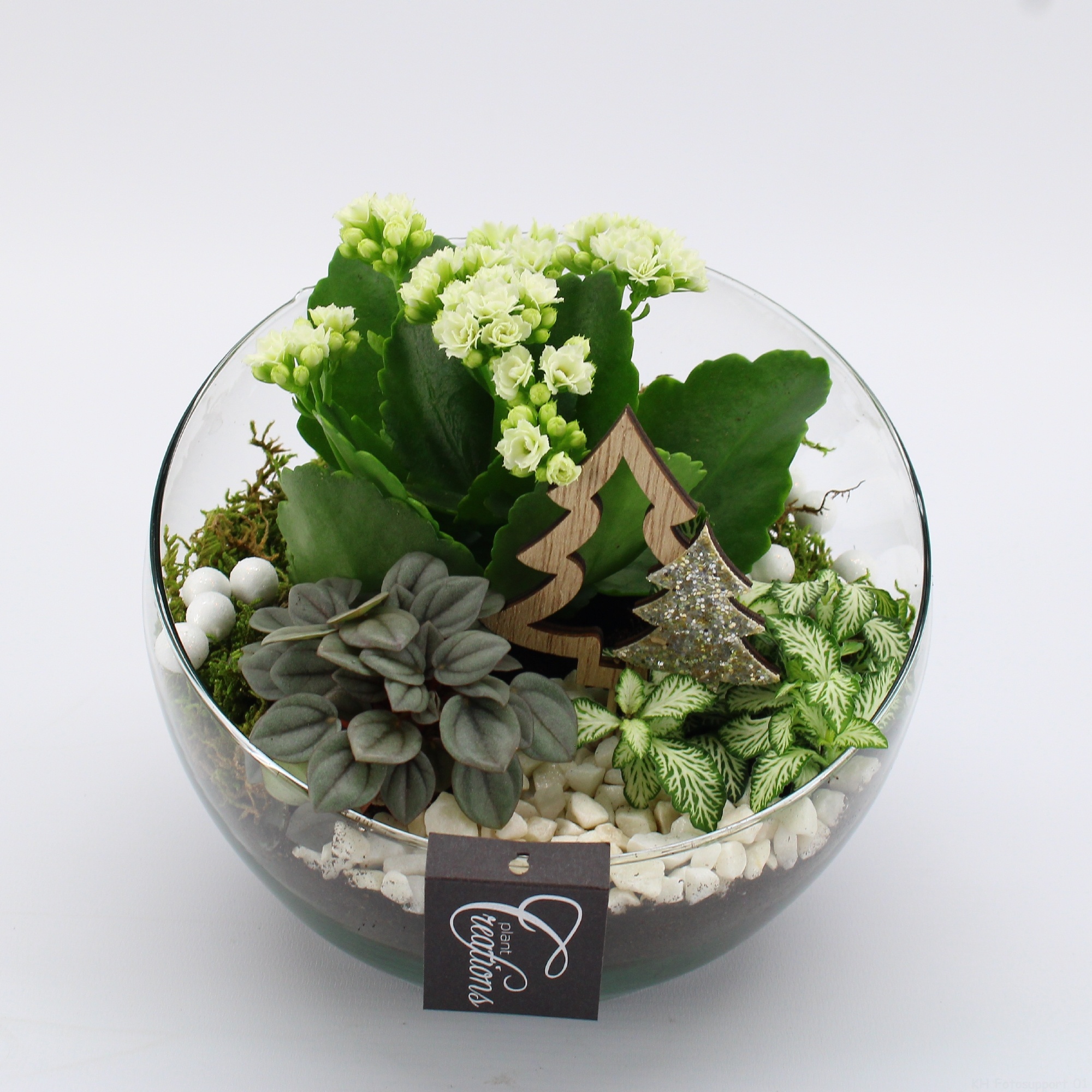 XMAS-25052 Kerst creatie, D 18 cm XMAS-25052 Kerst creatie, D 18 cm