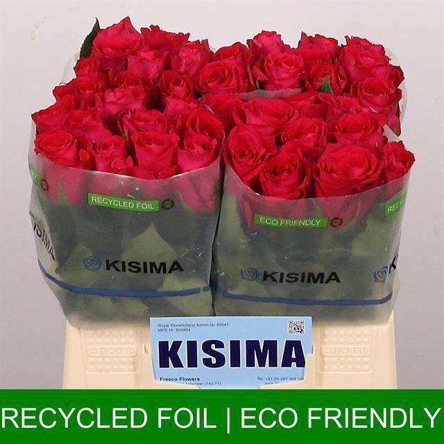 Роза од. Мадам Цериз 40, шт.