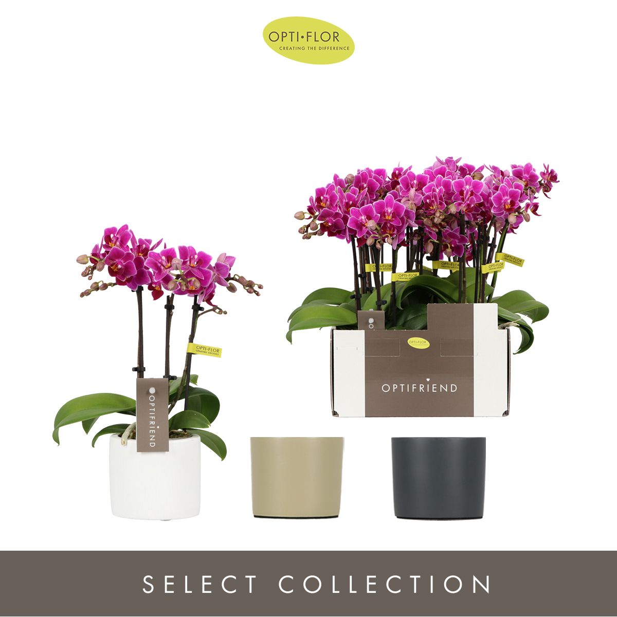 Optifriend Fay 3 spike in Toscane Mix, D 7 cm