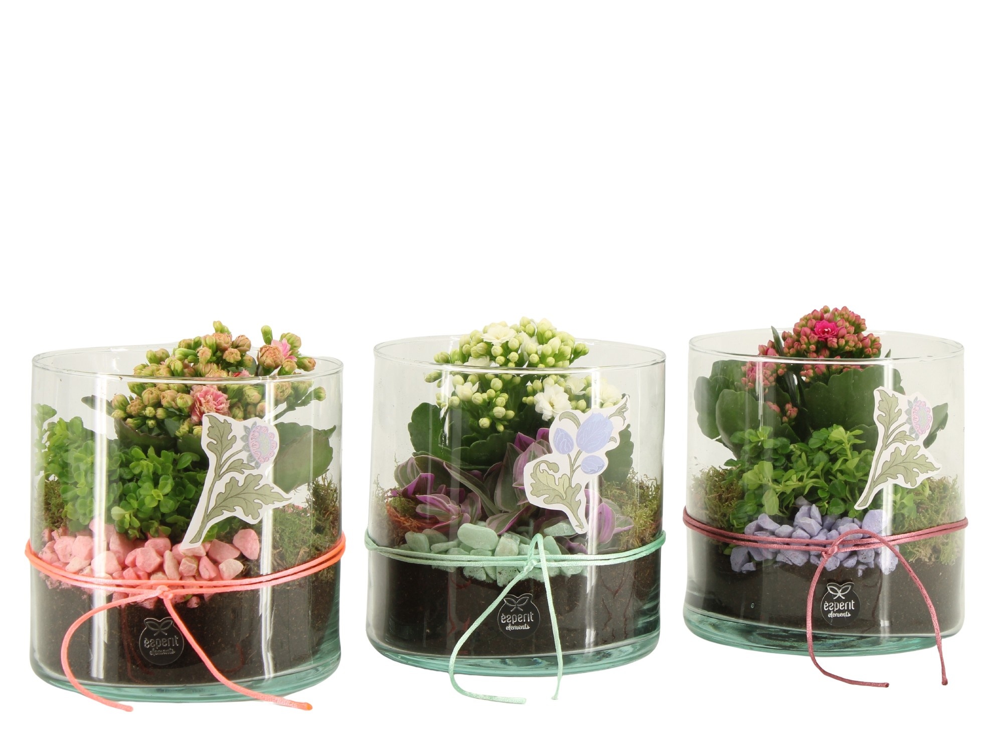 21939: Contradiction arrangement, D 15