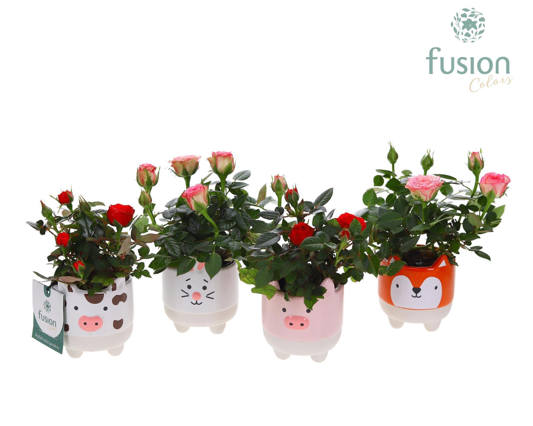 Keramiek Boerderijdieren met Roos, D 8