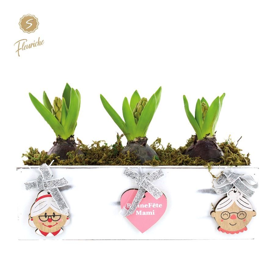 (11924) Hyacint Bone Fete Mami 3PP Mos, D 28 cm