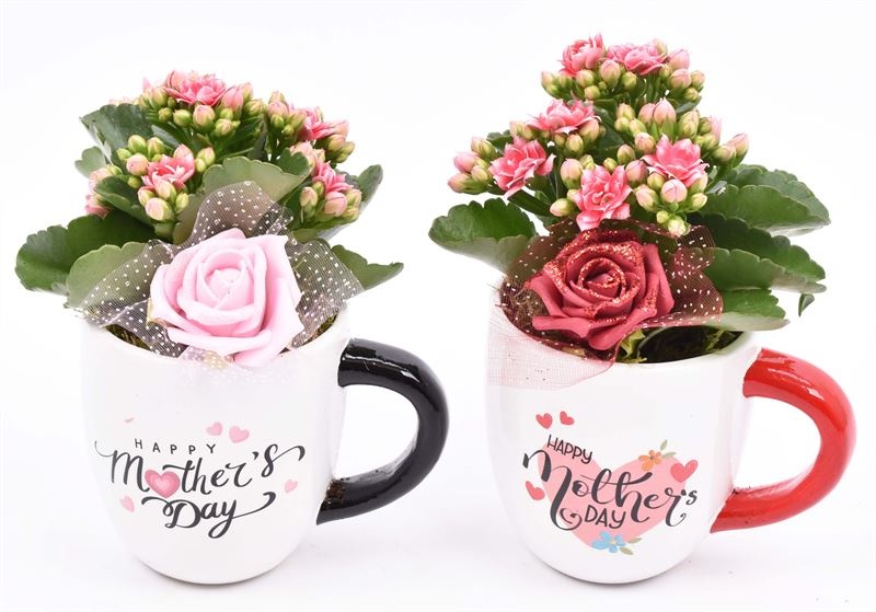 Keramiek mok �Mothers Day� 12cm, D 12