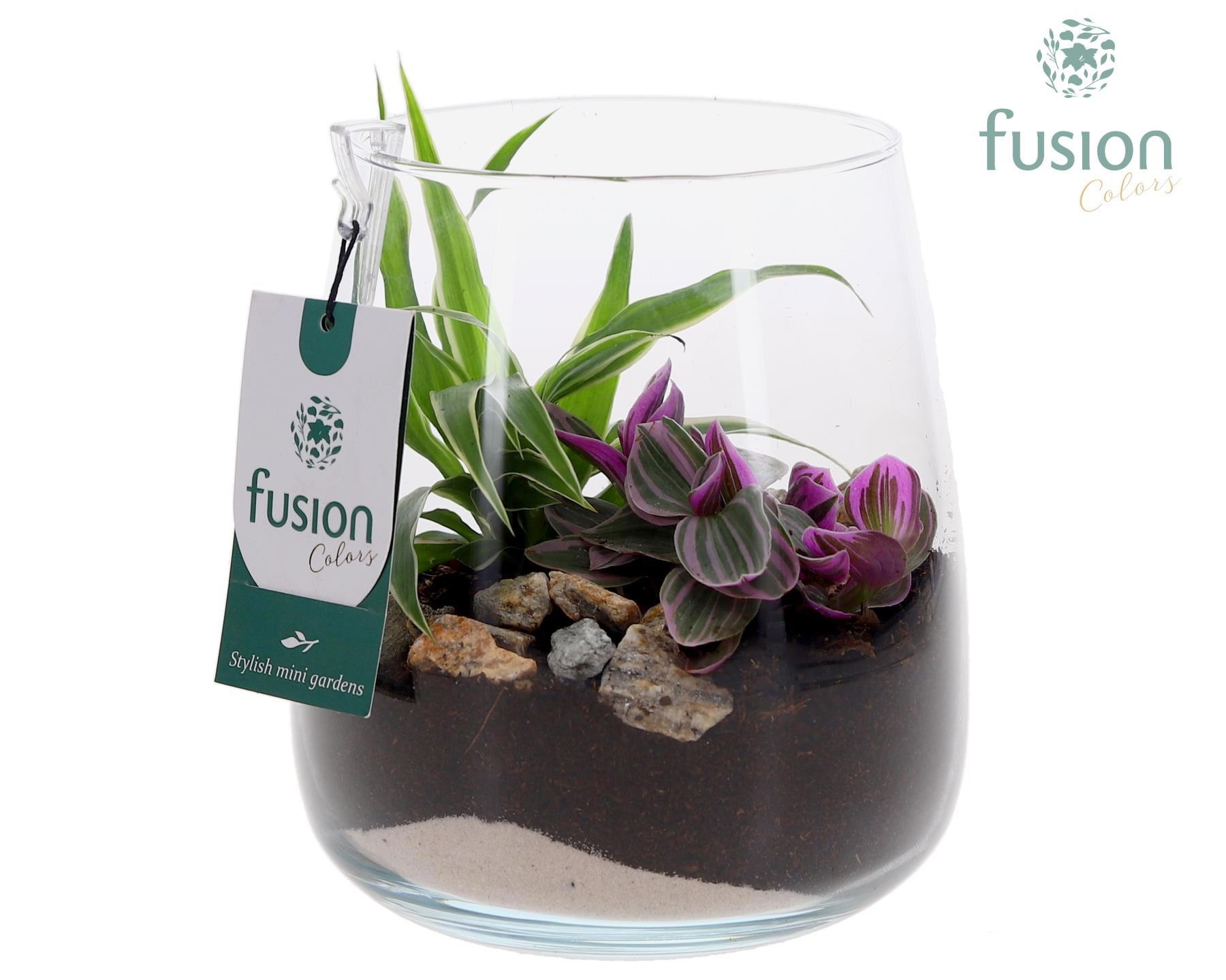 Glas Alzada met arrangement, D 15