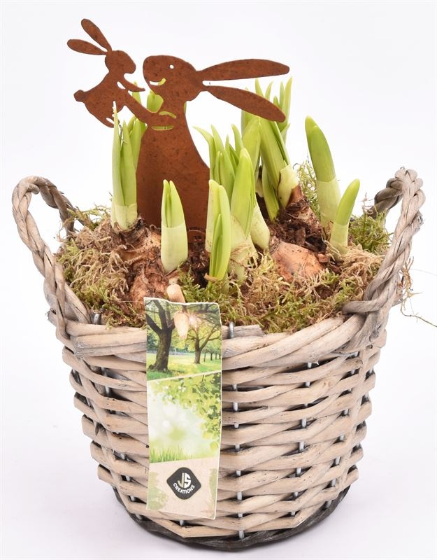 Wilg mand grijs met oor 14cm, D 14