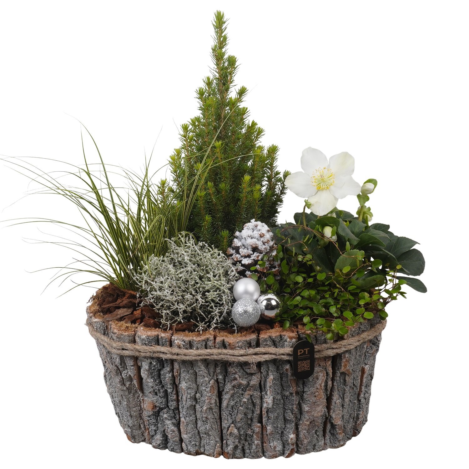 PTCHO5413 Arrangement Christmas Outdoor in houten bak, D 36