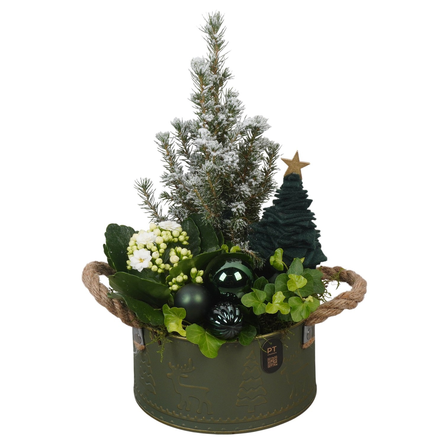 PTCHGR1939 Arrangement Christmas Green in metalen pot, D 16