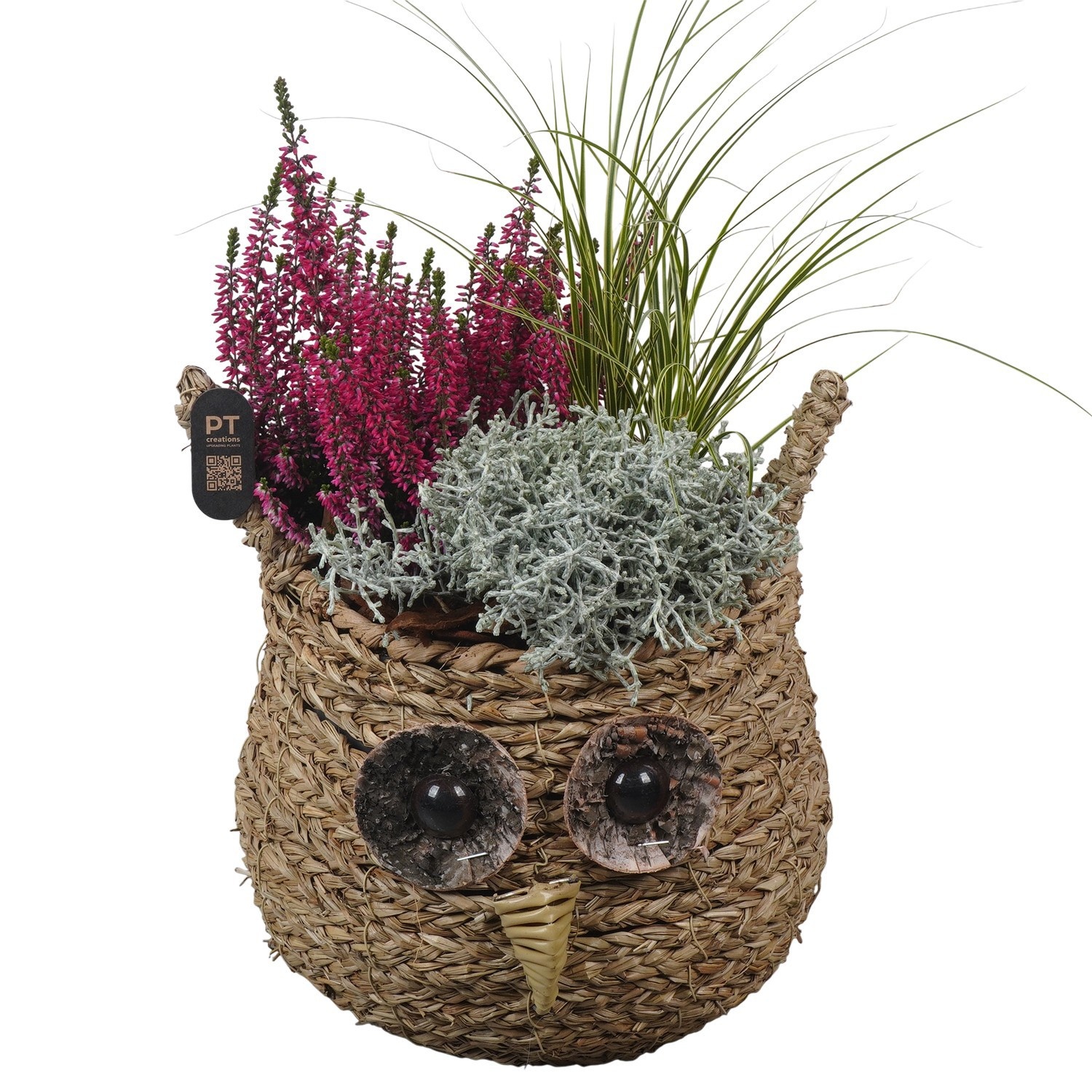 PTHO7640 Arrangement Autumn Outdoor in rieten mand in uil vorm, D 24