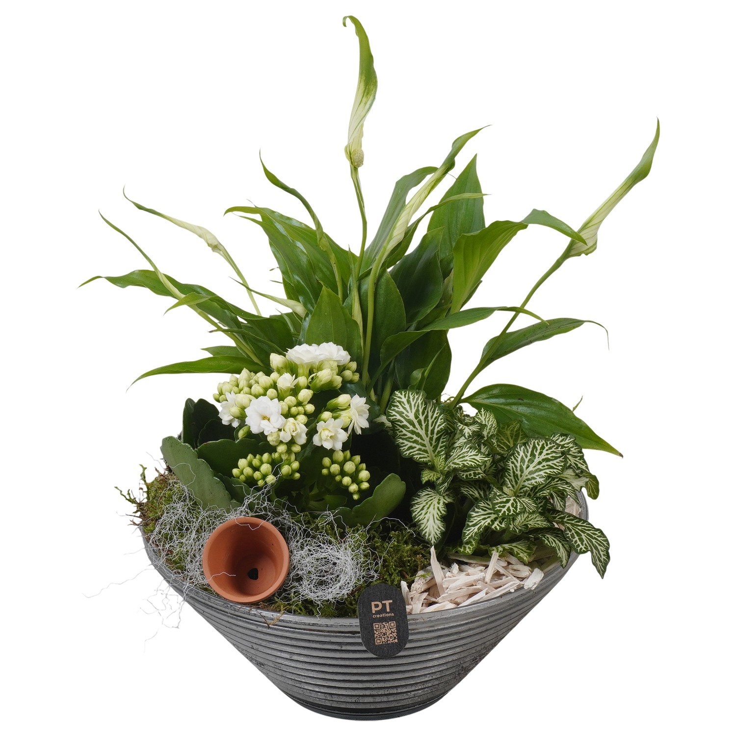 PTIG2661 Arrangement Indoor in glas schaal, D 19