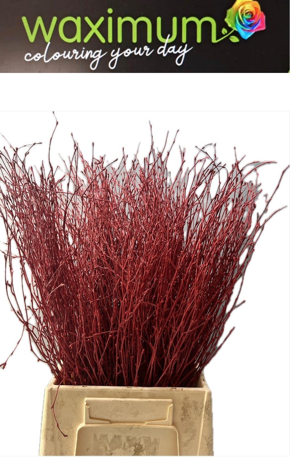 Беркетакен Овериг Крашеный (краш. ) 70, шт.