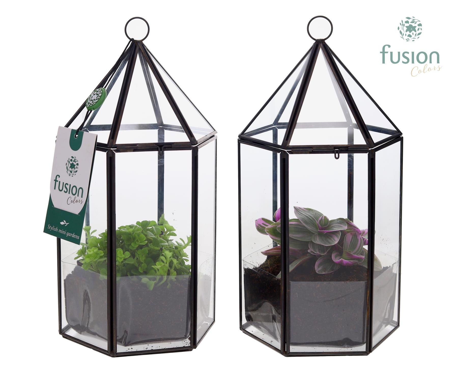 Lantaarn Geometrisch met Groene planten, D 14