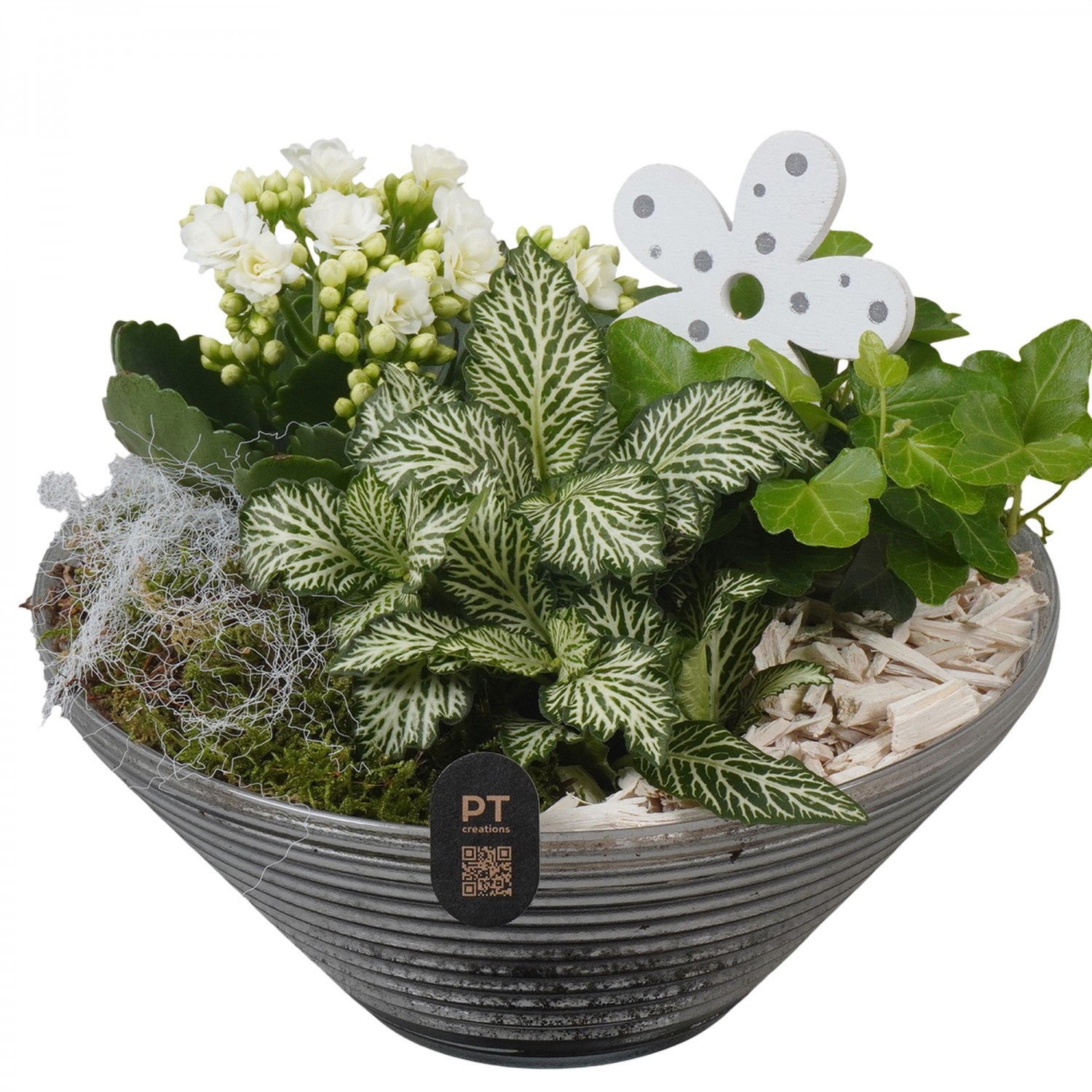 PTIG2658 Arrangement Indoor in glas schaal, D 19