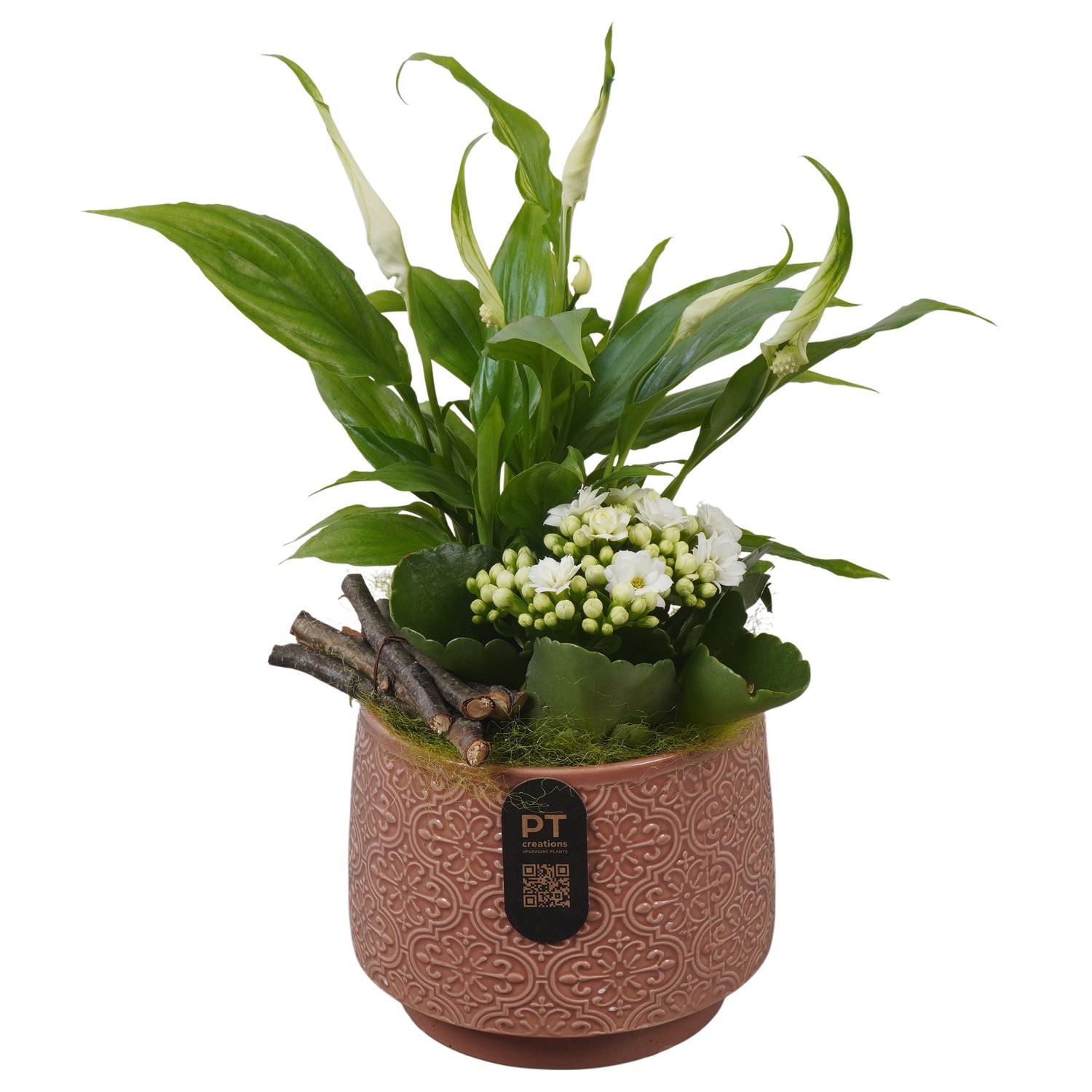 PTIB5181 Arrangement Indoor in keramiek pot, D 13