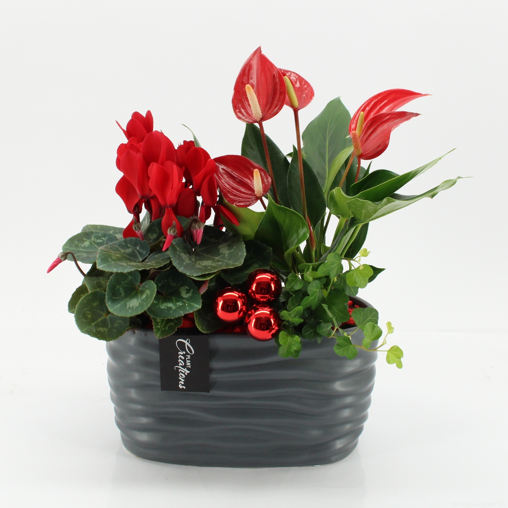XMASXL-2515 Kerst XL, D 22 cm XMASXL-2515 Kerst XL, D 22 cm