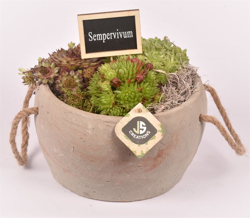 Cement pot met touw gy 20cm, D 20