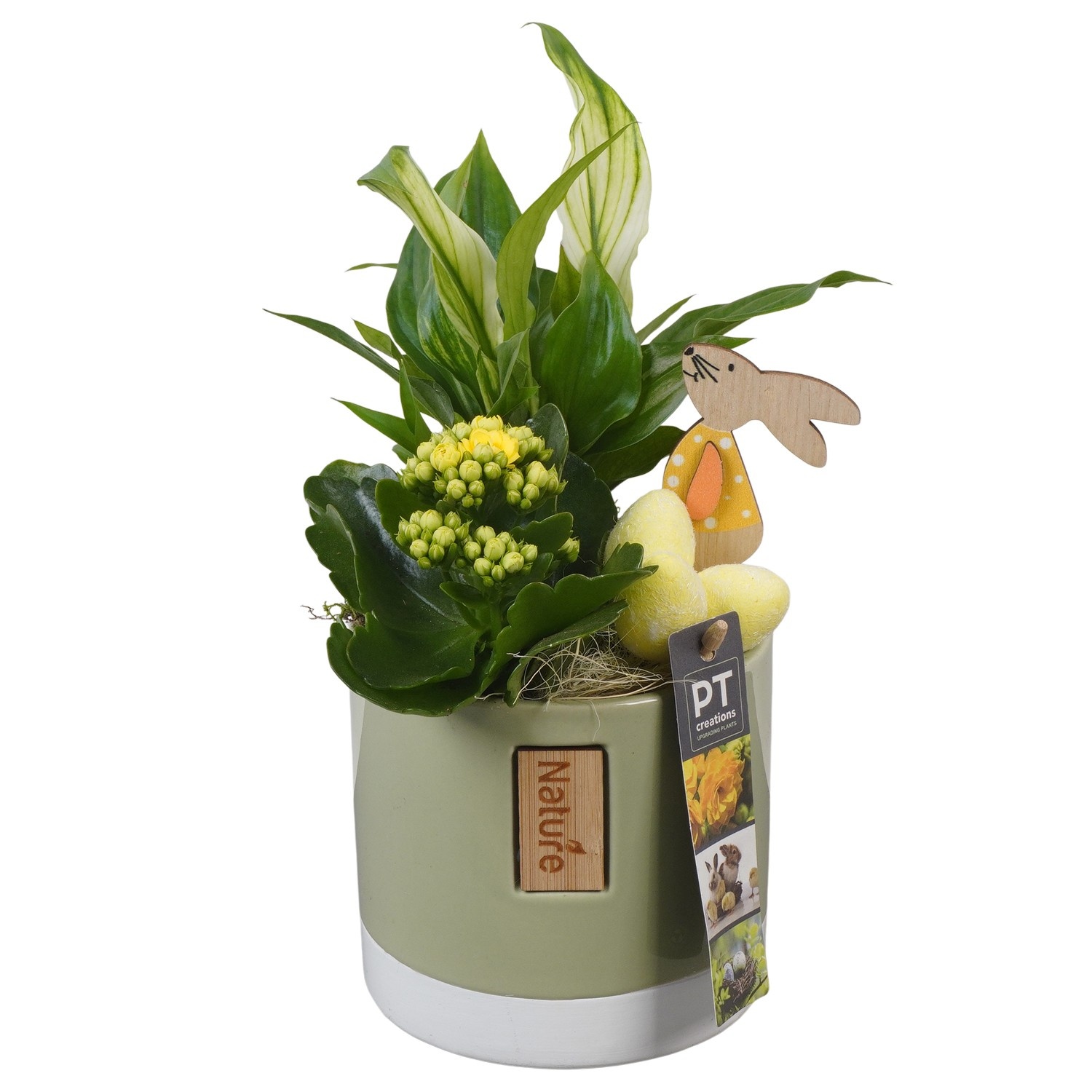 PTPB6476 Arrangement Easter in keramiek pot, D 11