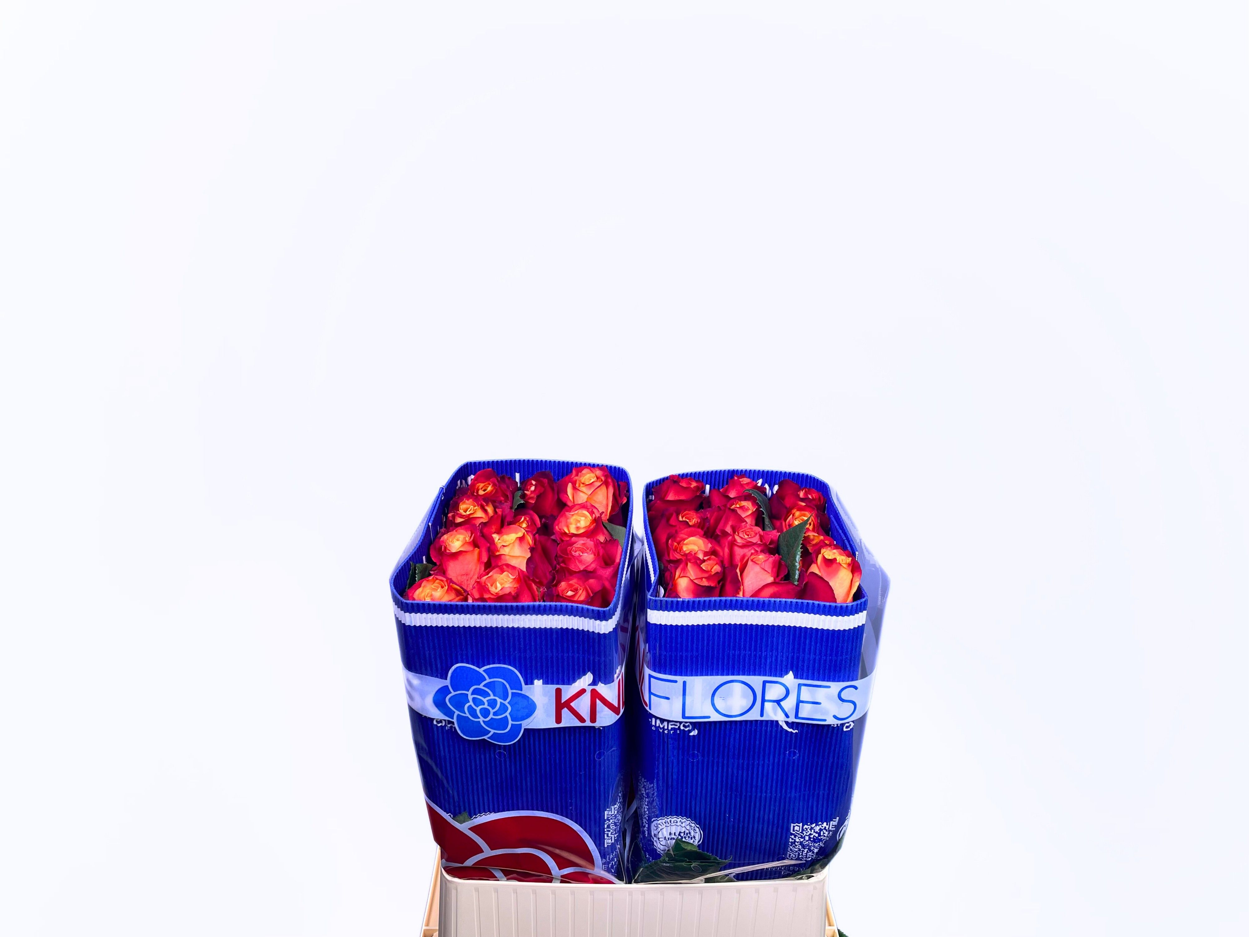 Роза од. Силантой 70, шт.