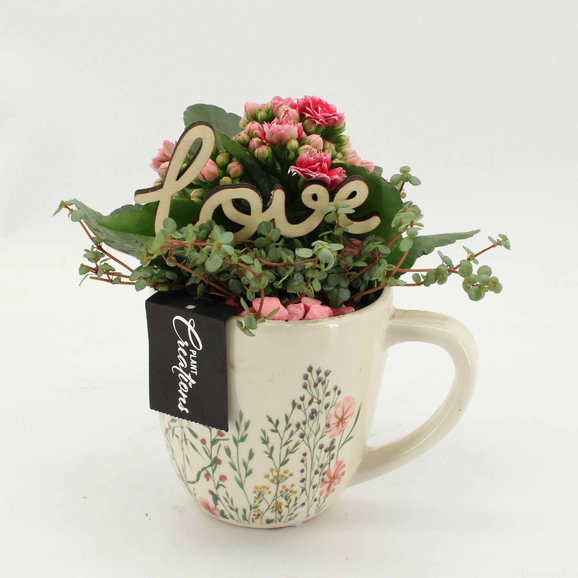 RMCR-2615RZA Romantic Essentials, D 11