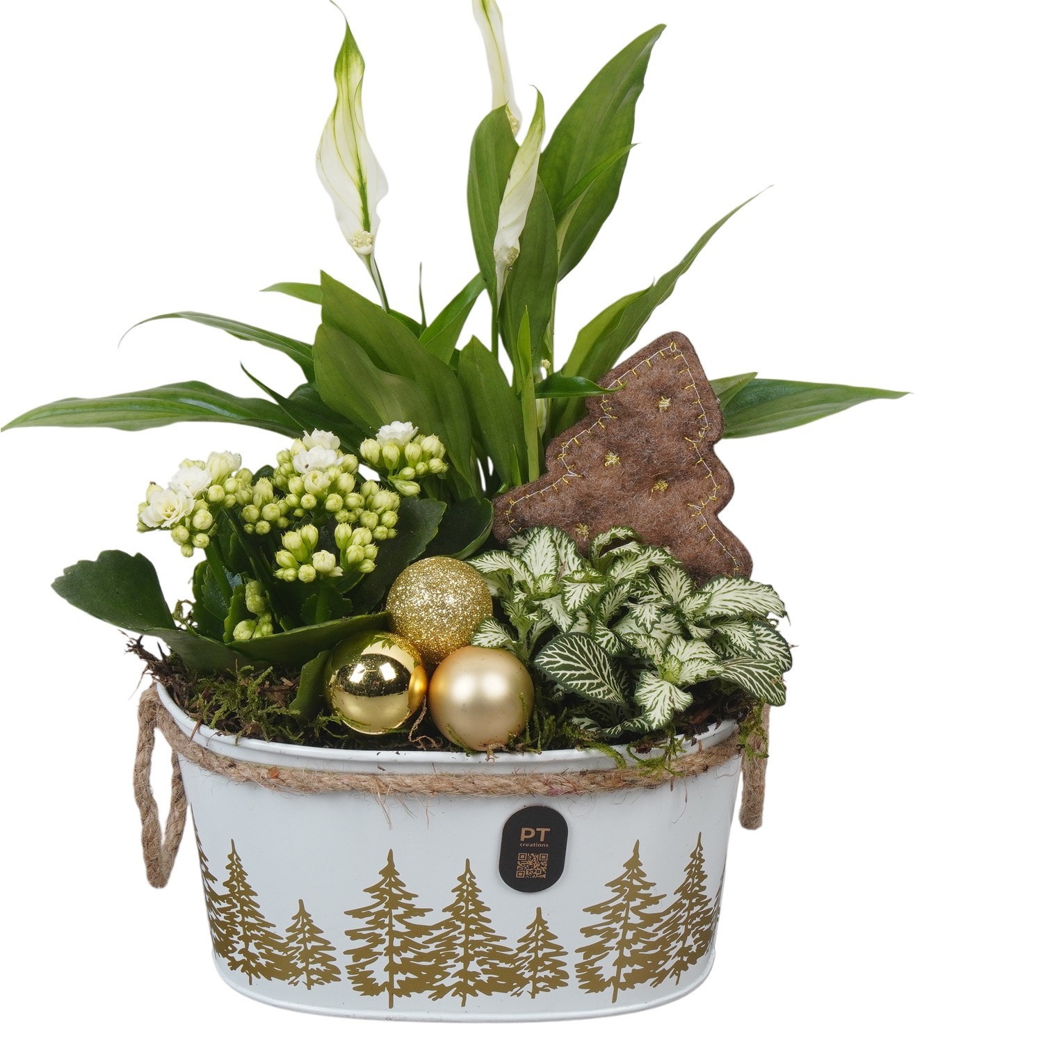 PTCHG4641 Arrangement Christmas Gold in metalen pot, D 18