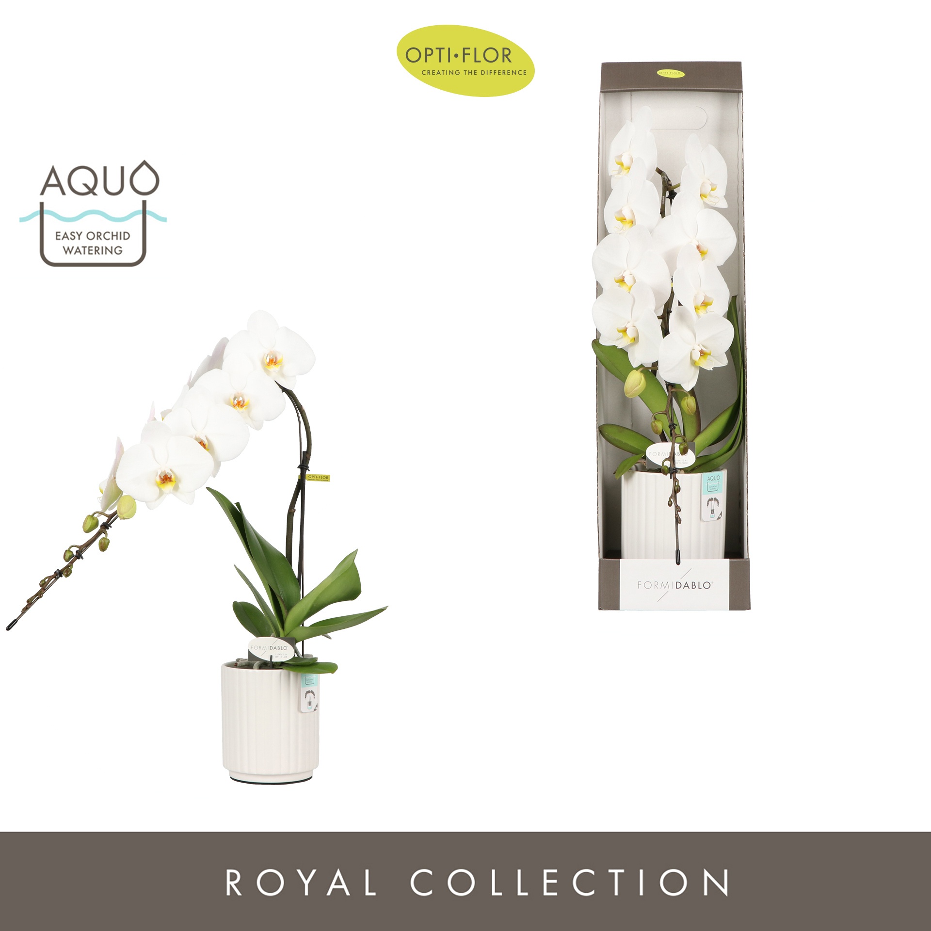 Formidablo Niagara Falls in Molise White Aquo Showdoos, D 12