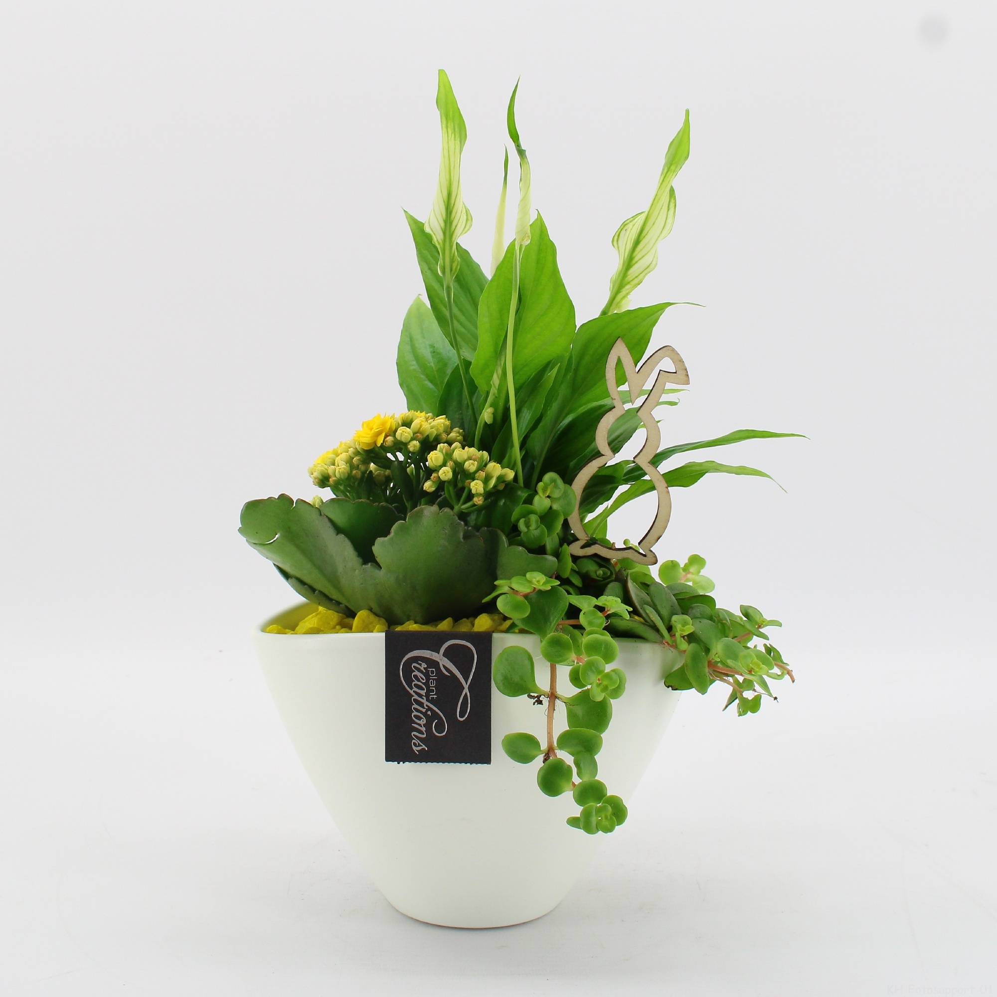 FDPS-2610 Easter Fundamentals, D 18