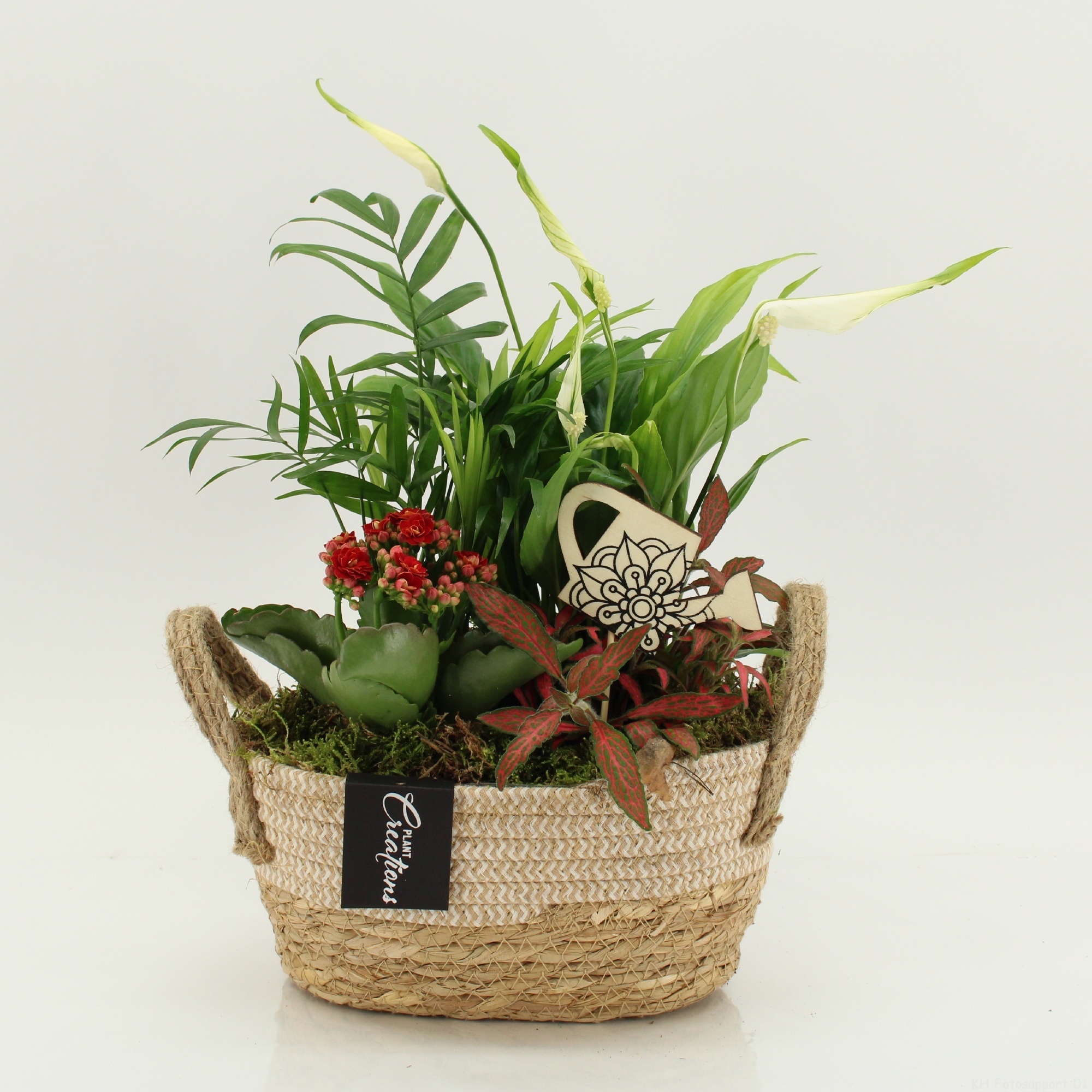 FDCR-2618R Basic Fundamentals, D 24