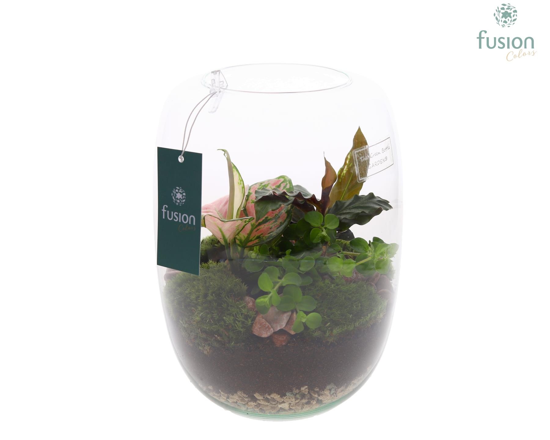 Green Bottle Isabella Large met arrangement, D 19