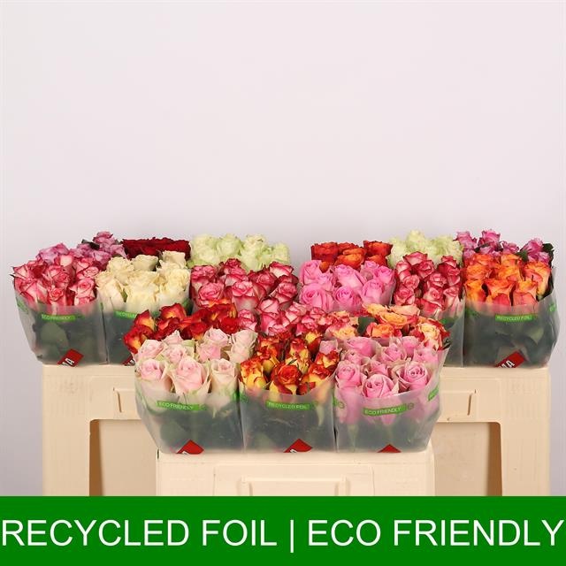 Роза од. Микс в баке 50, шт.