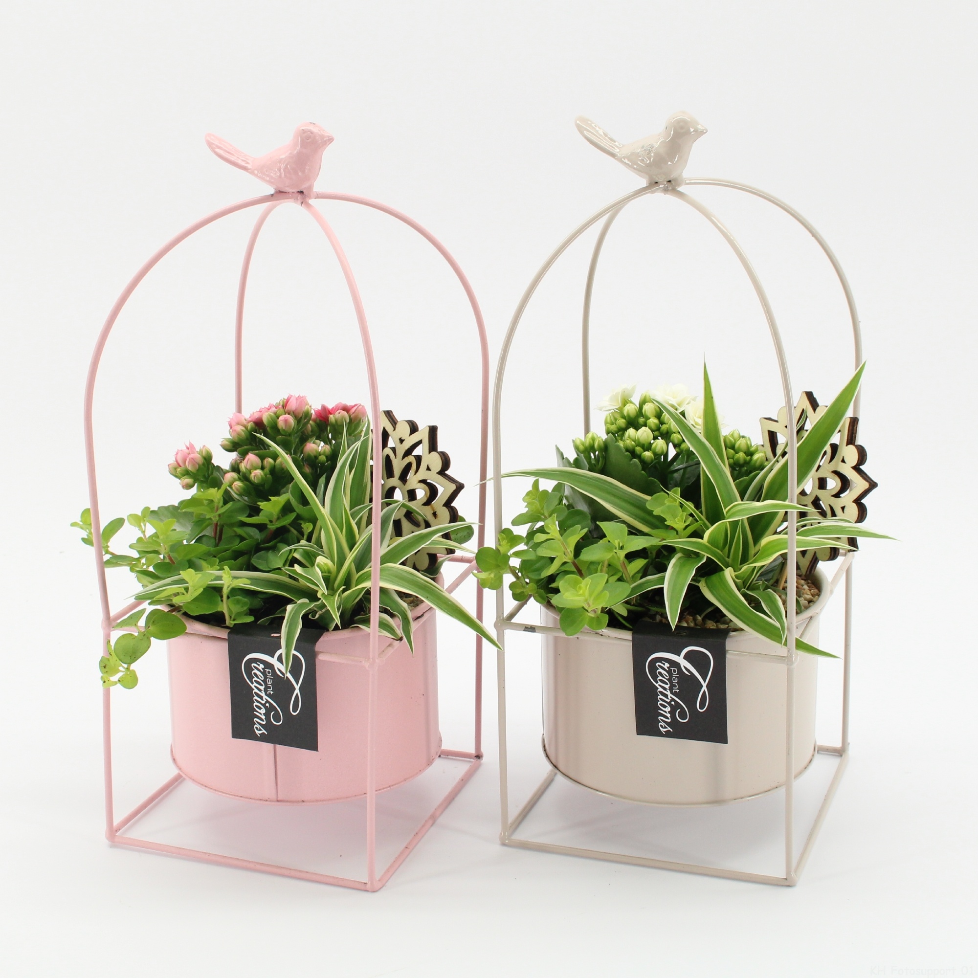 ESCR-2606M Essentials, D 14