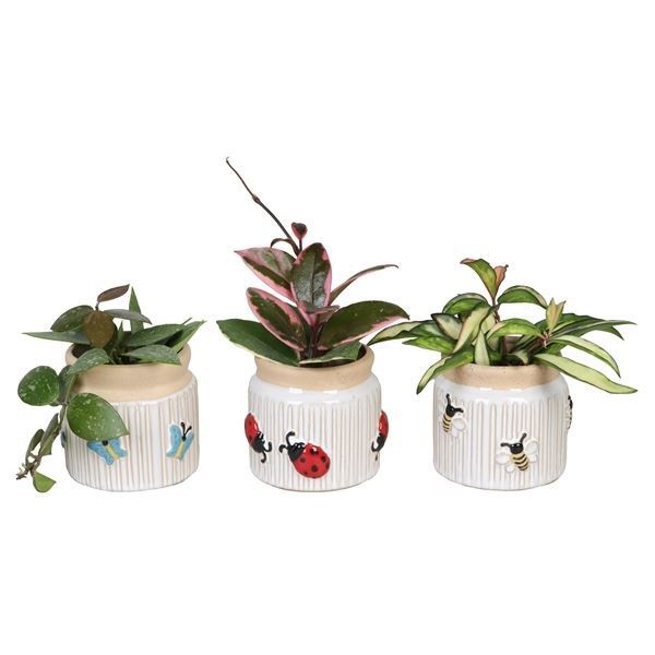 L 66639 with Hoya Mix 6 cm, D 6 cm