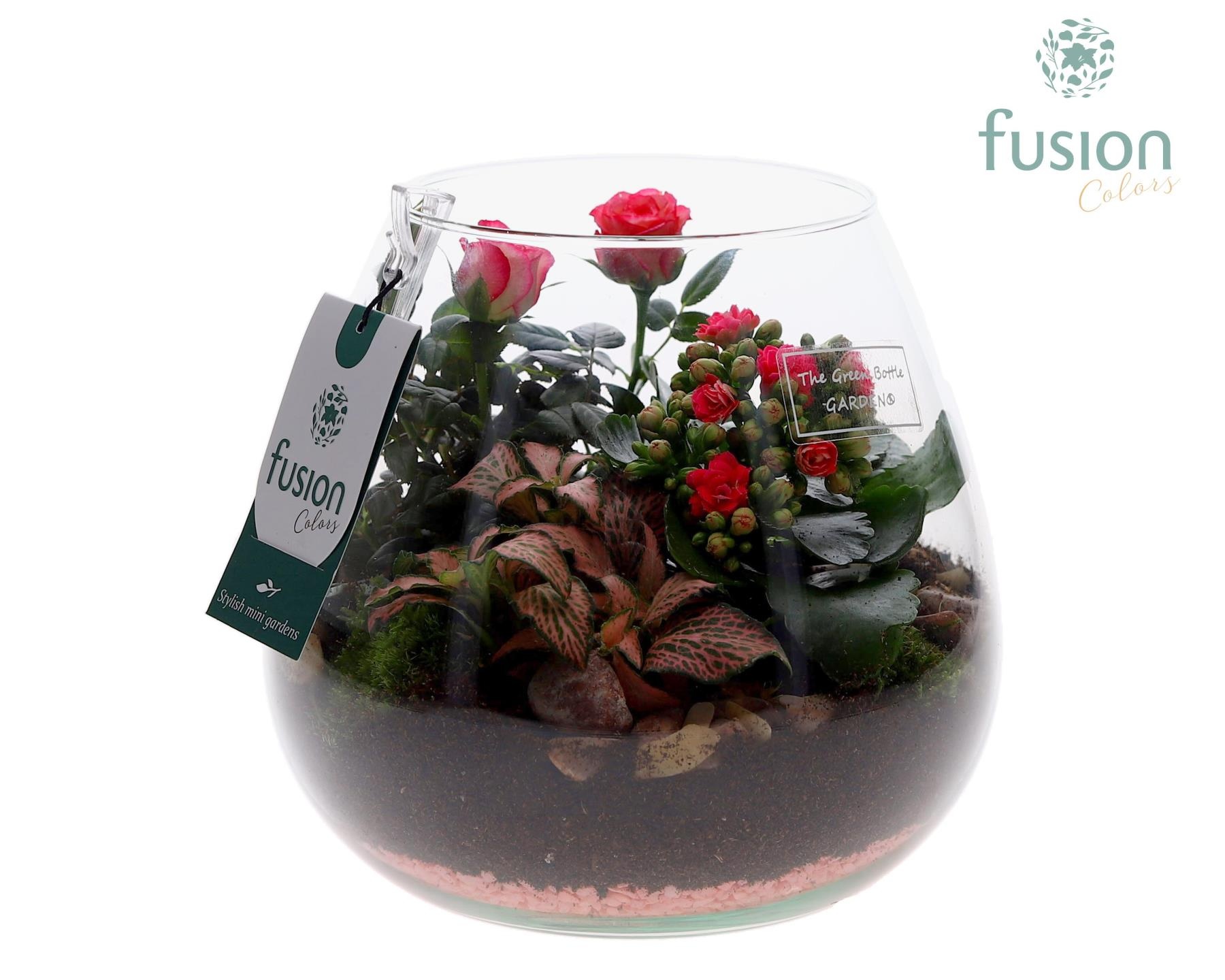 Green Bottle Abby Medium Love met arrangement, D 19