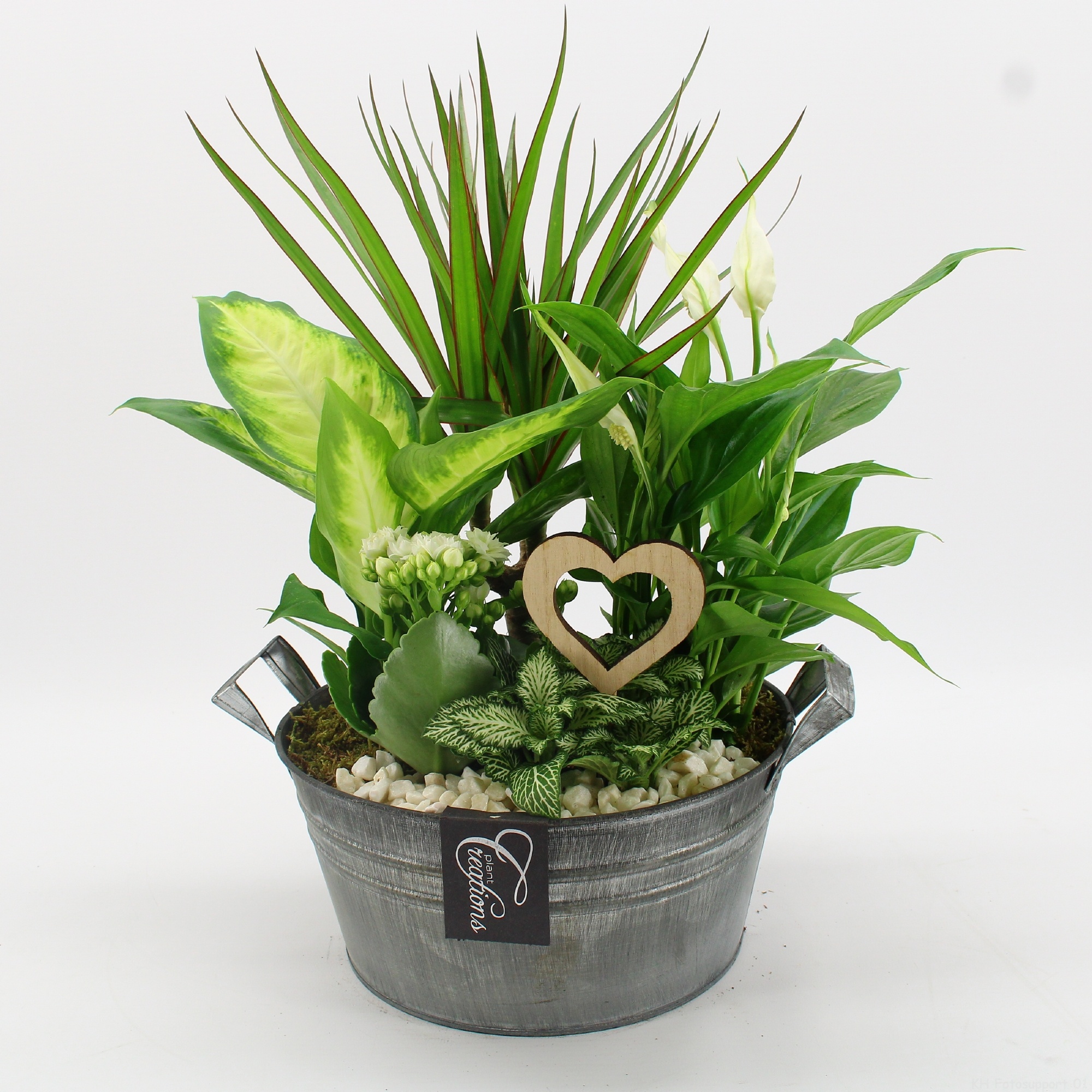 FDRM-2615W Romantic Fundamentals, D 23