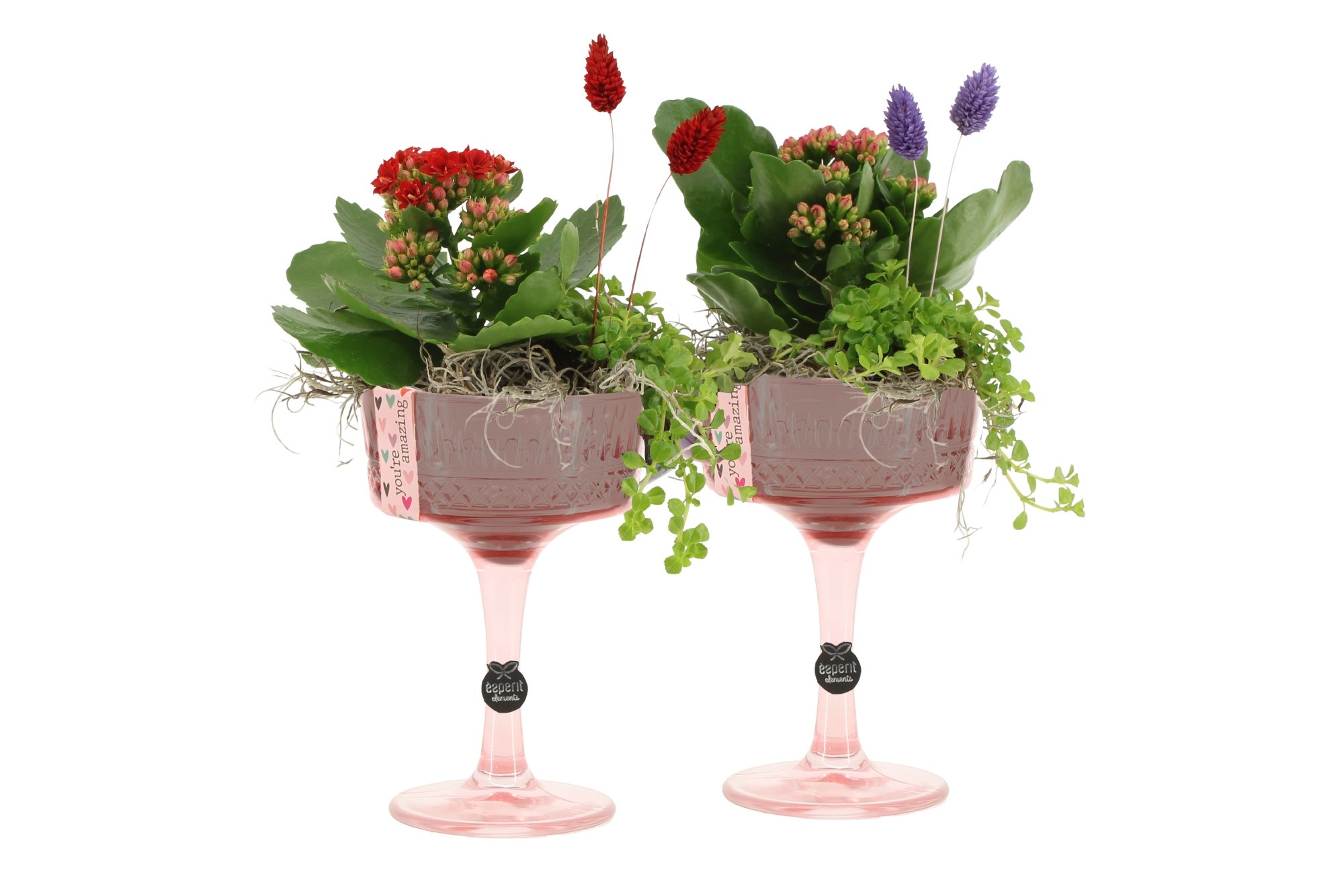 21580: Lovess arrangement, D 12