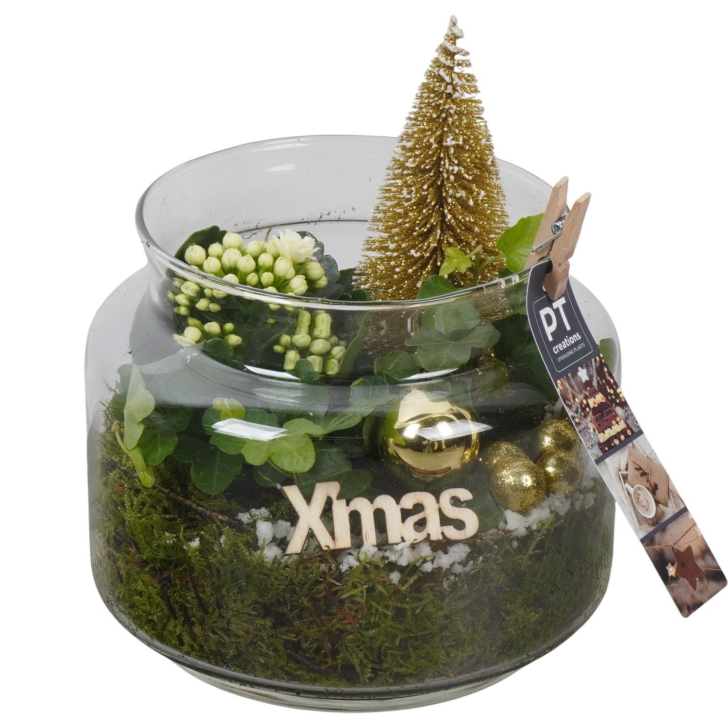 PTCHG5739 Arrangement Christmas Gold in glazen pot, D 16 cm