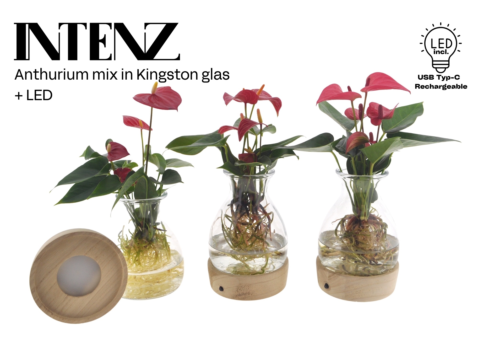 Anthurium mix in Kingston glas + LED - levertijd: 24 uur, D 12