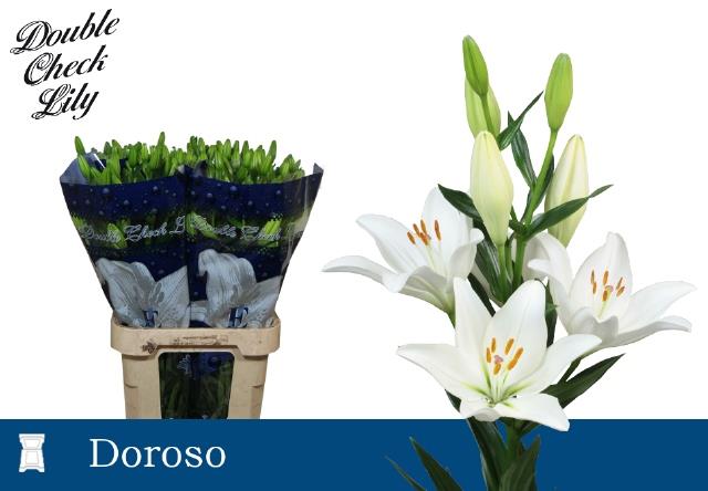 Лилия Доросо 90, шт.