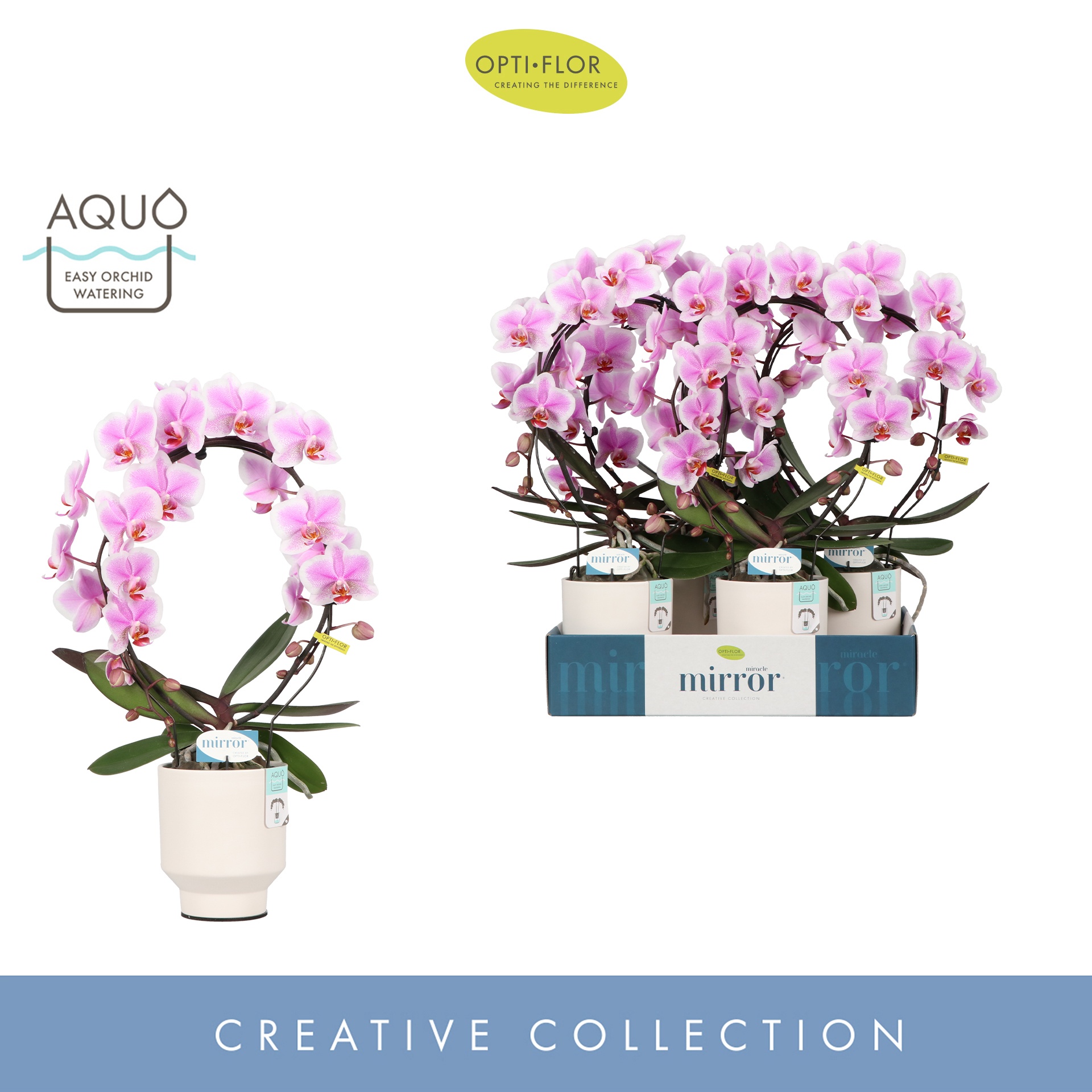 Mirror Miracle Jasmine 2 spike in Emilia White Aquo, D 12 cm