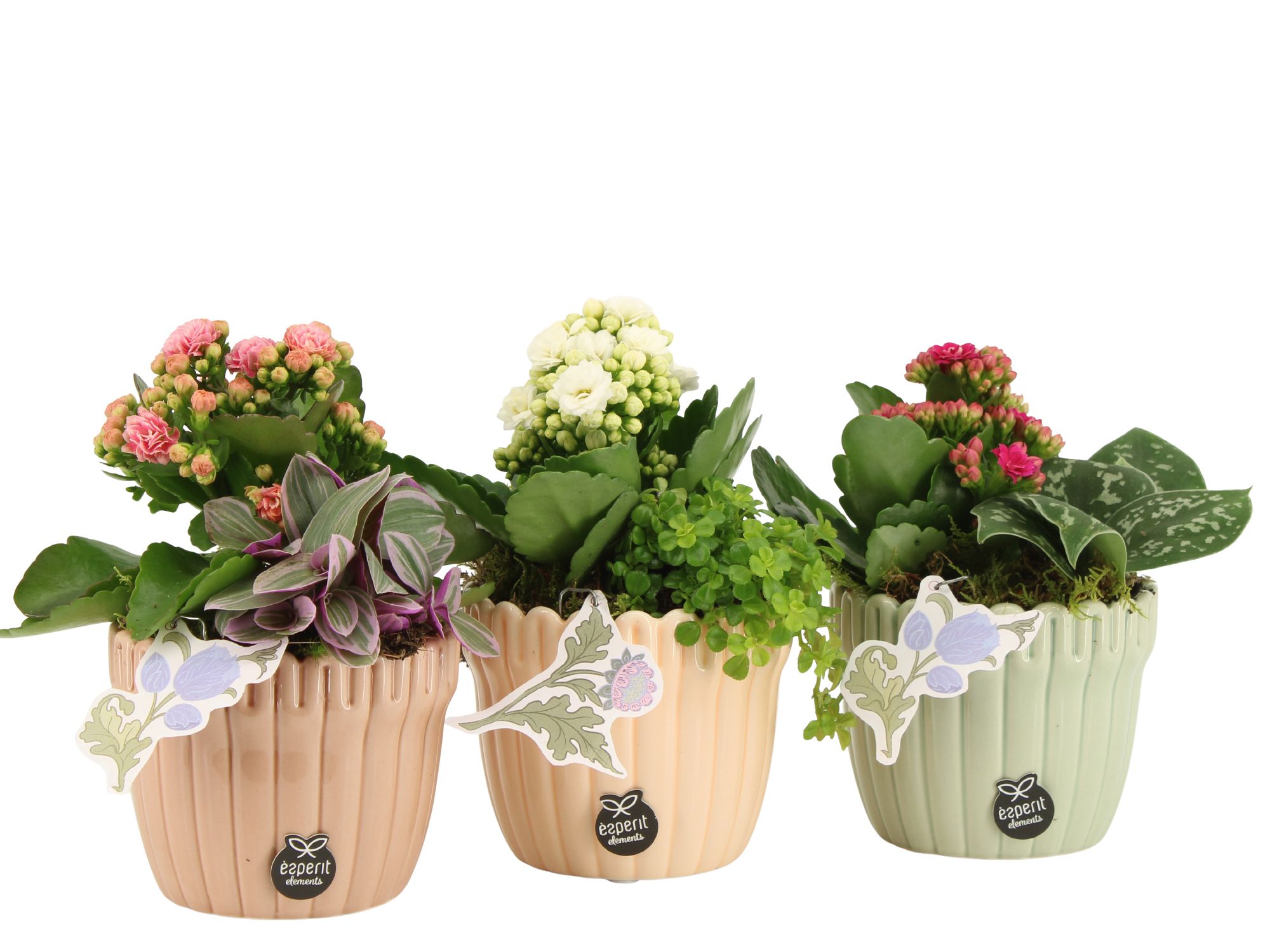 21918: Contradiction arrangement, D 10