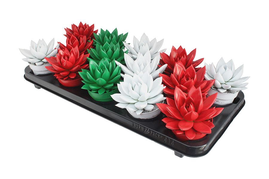 Miranda coloured traditional Xmas mix, D 8,5