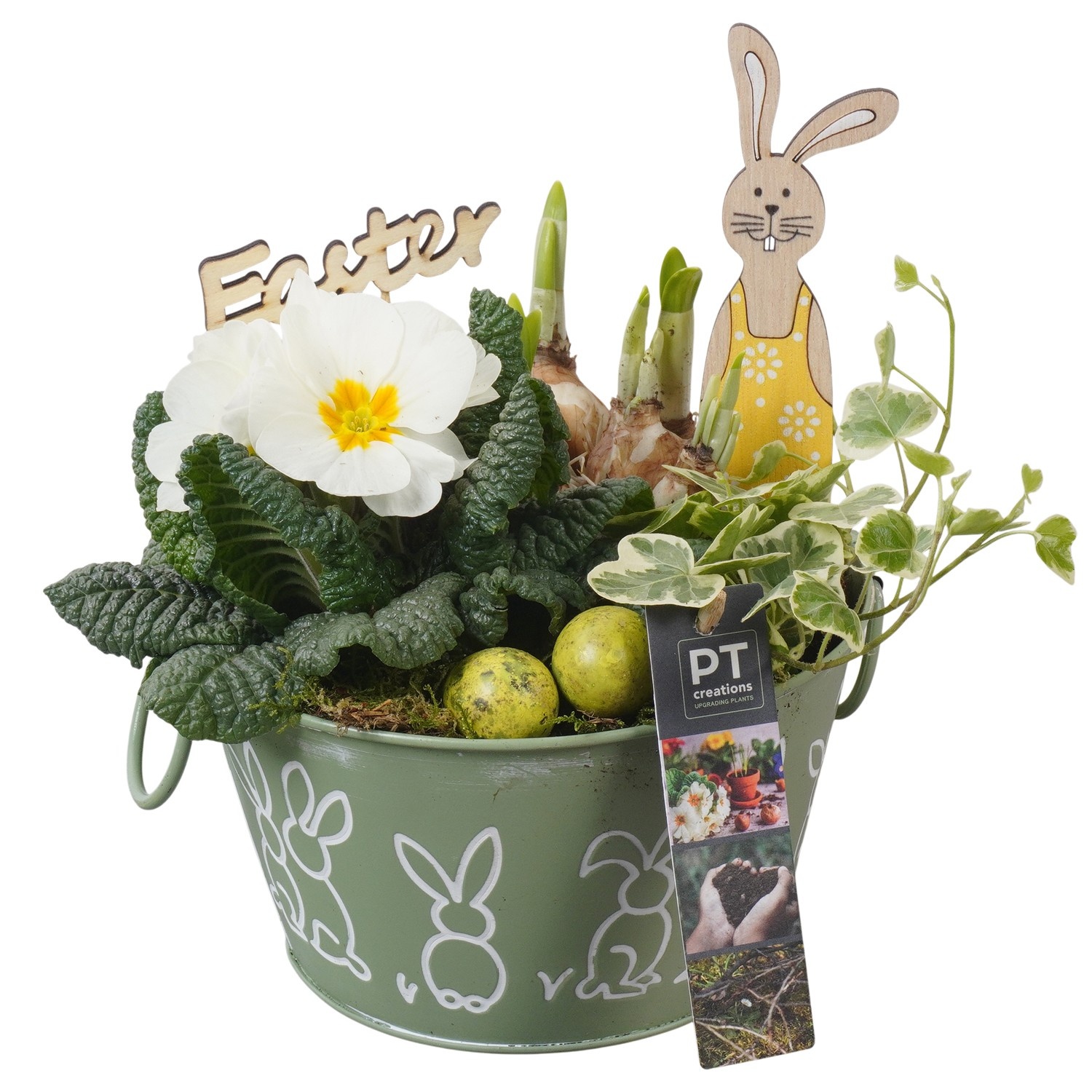 PTBMP5655 Arrangement Easter Bulbs Mix in zink pot, D 18
