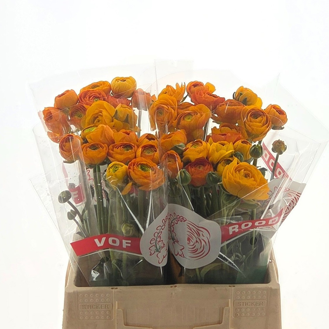 Ранункулус Элеганс Оранж 40, шт.